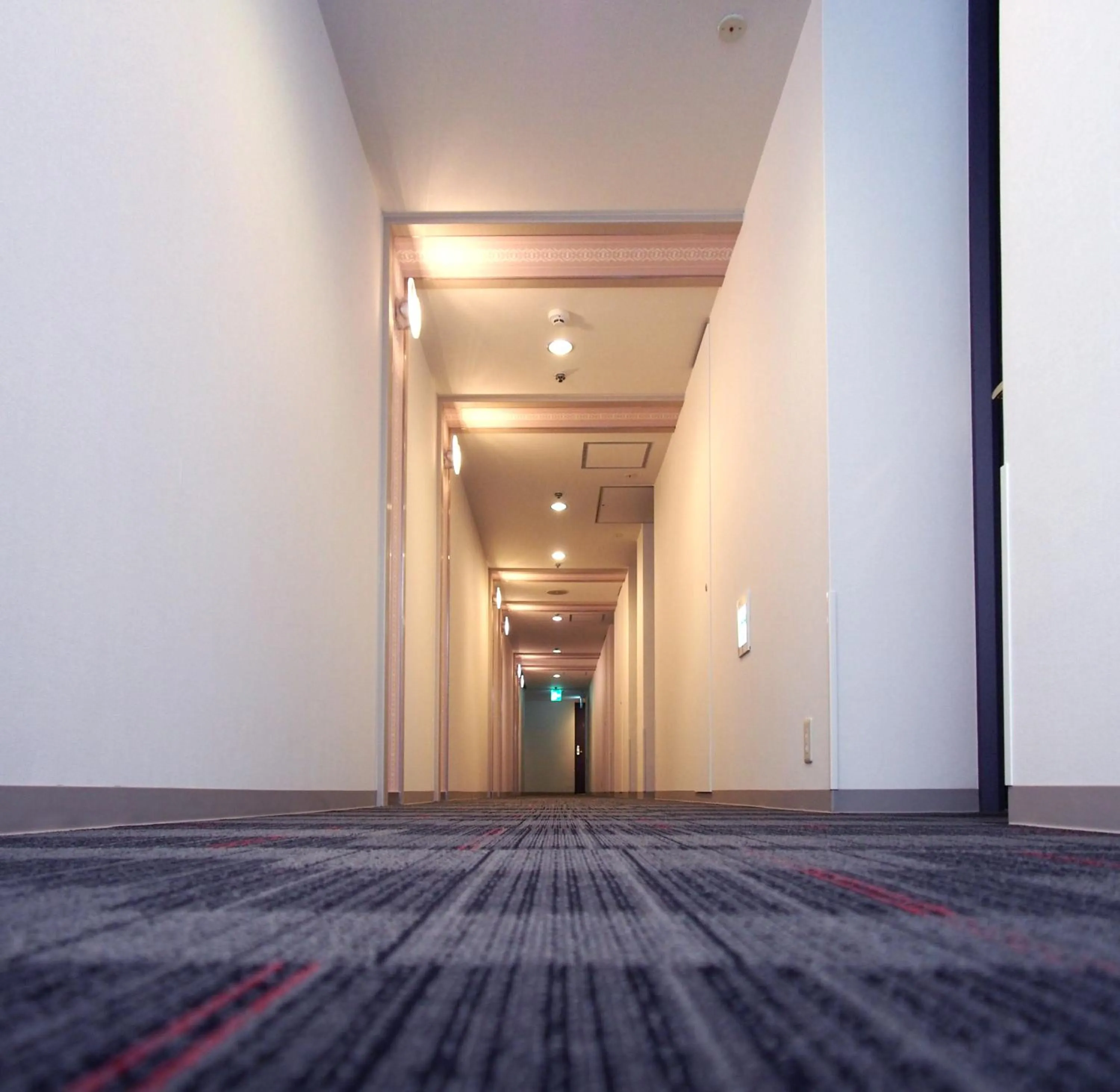 Area and facilities in Hotel Fukuoka Garden Palace