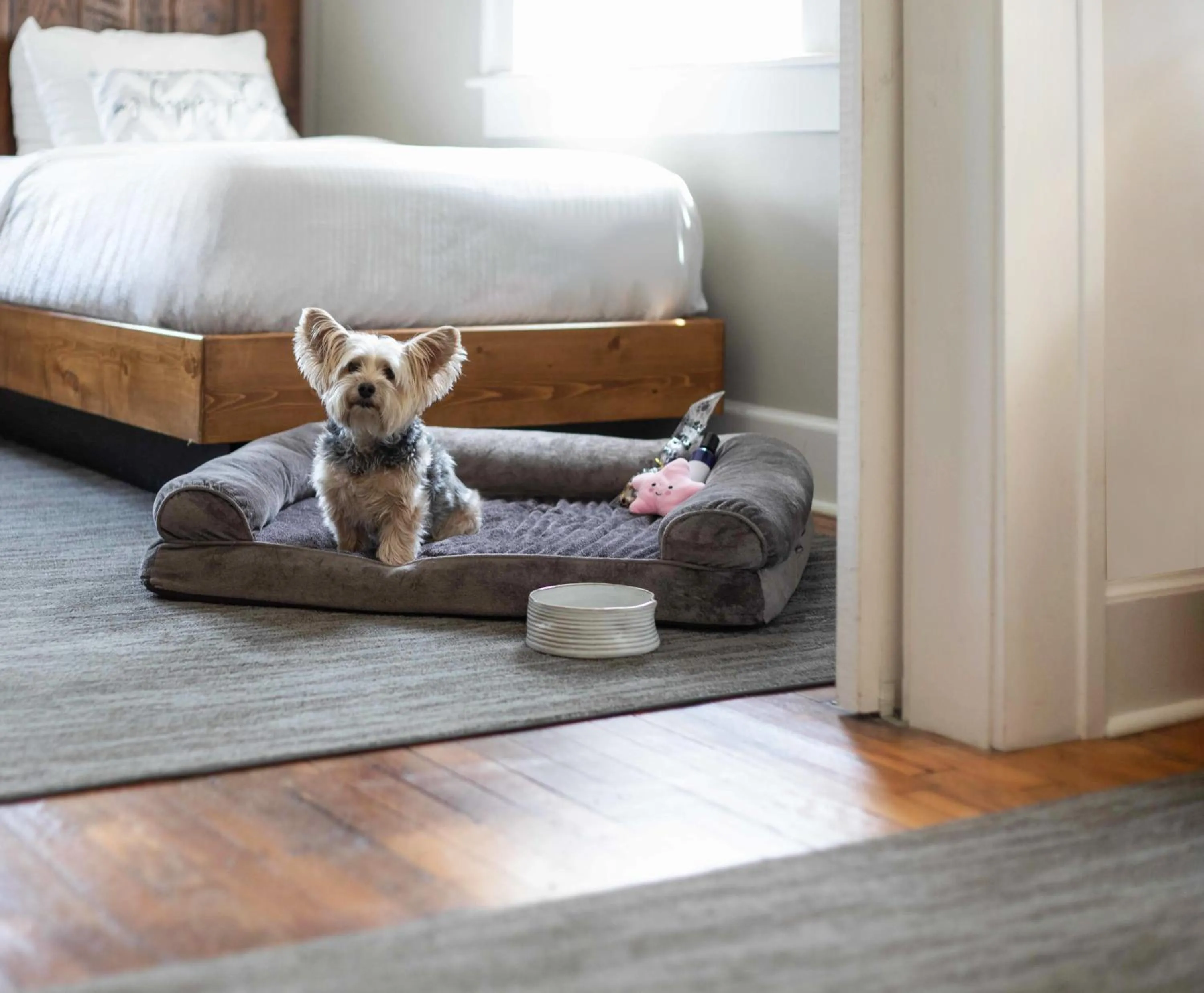 Pets, Bed in Western Front Hotel