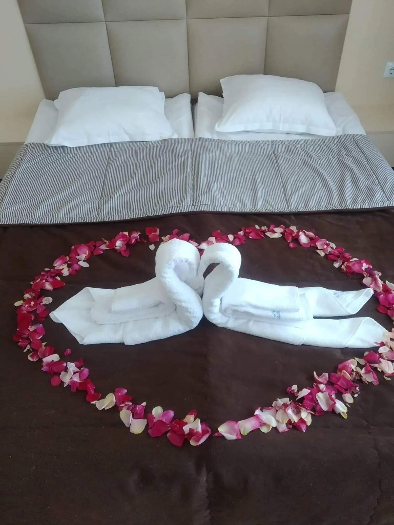 Photo of the whole room in Kamenec Hotel