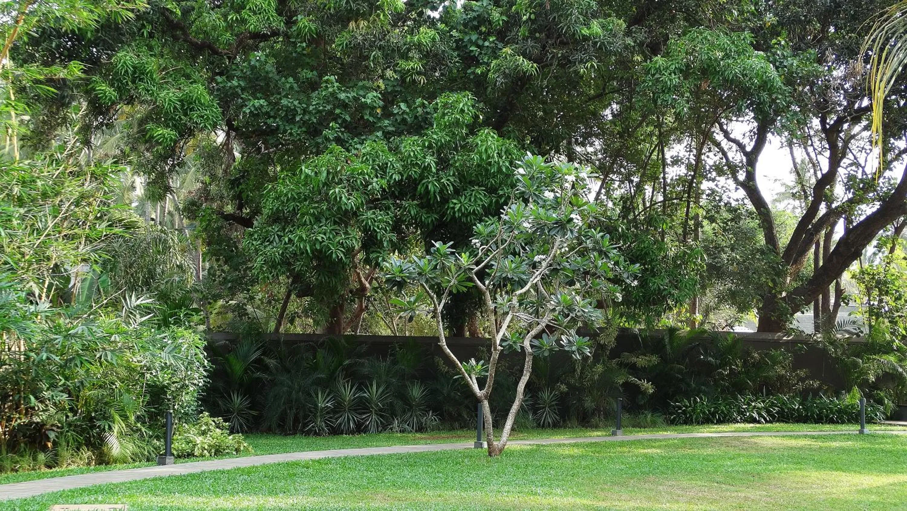 Natural landscape in Andores Resort And Spa - Calangute