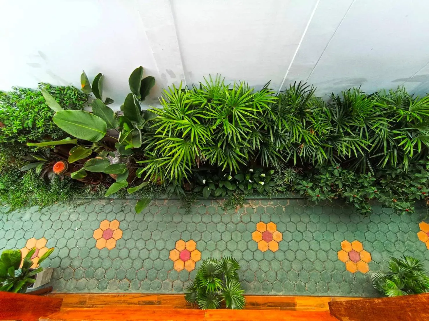 Garden view in Aphilapa Residence