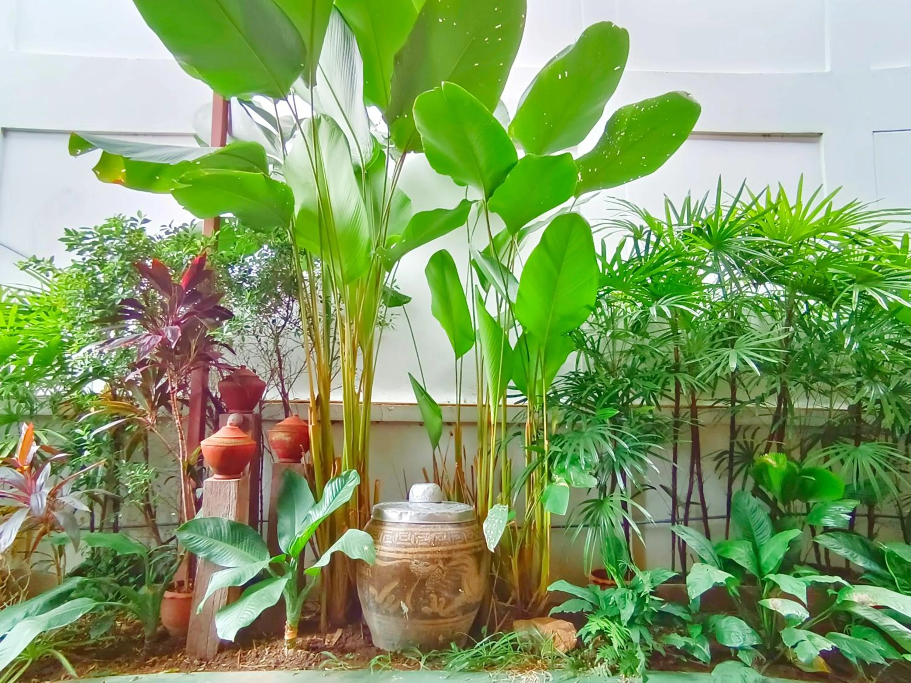 Garden in Aphilapa Residence