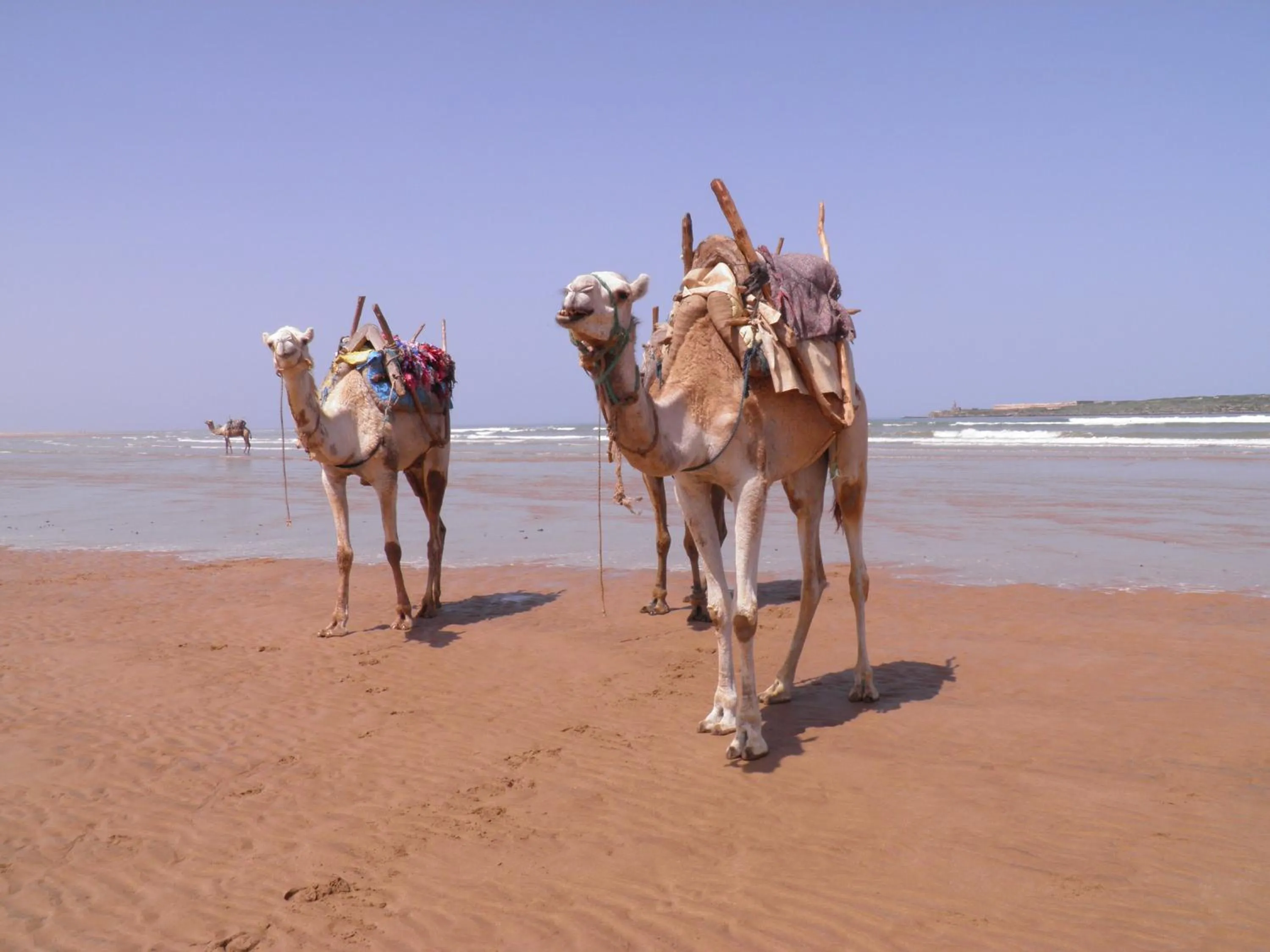 Fishing in La Maison des Artistes