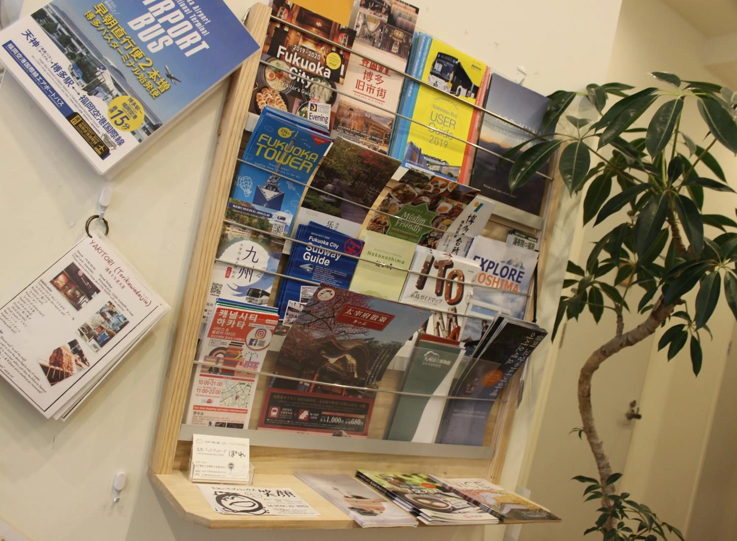 Lobby or reception in Hostel TOKI