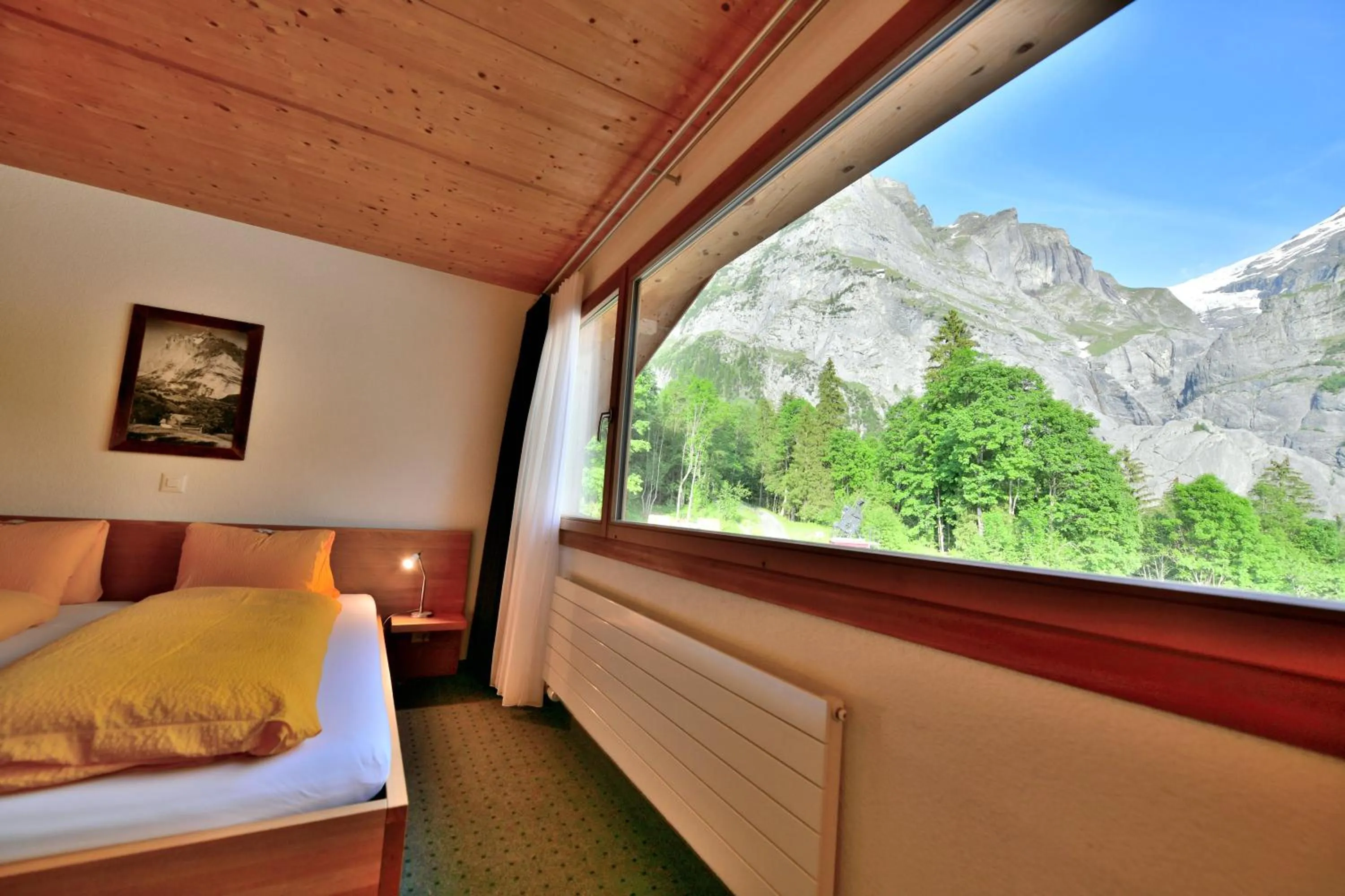 Mountain view, Bed in Hotel Wetterhorn