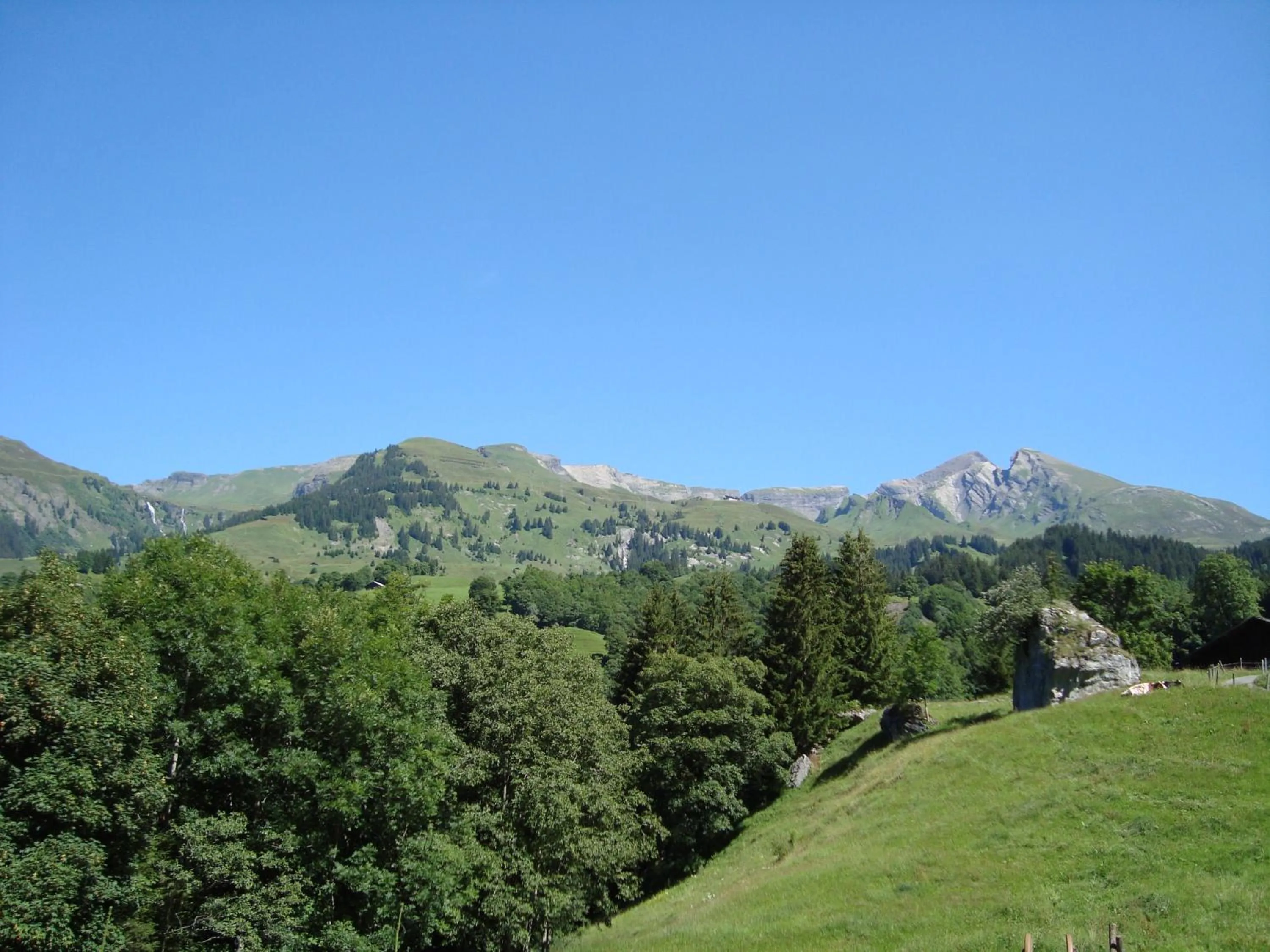 Mountain view in Hotel Wetterhorn