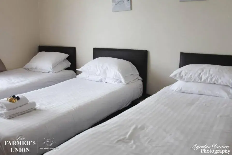 Standard Triple Room in The Farmers Union Standard Triple Room in The Farmers Union