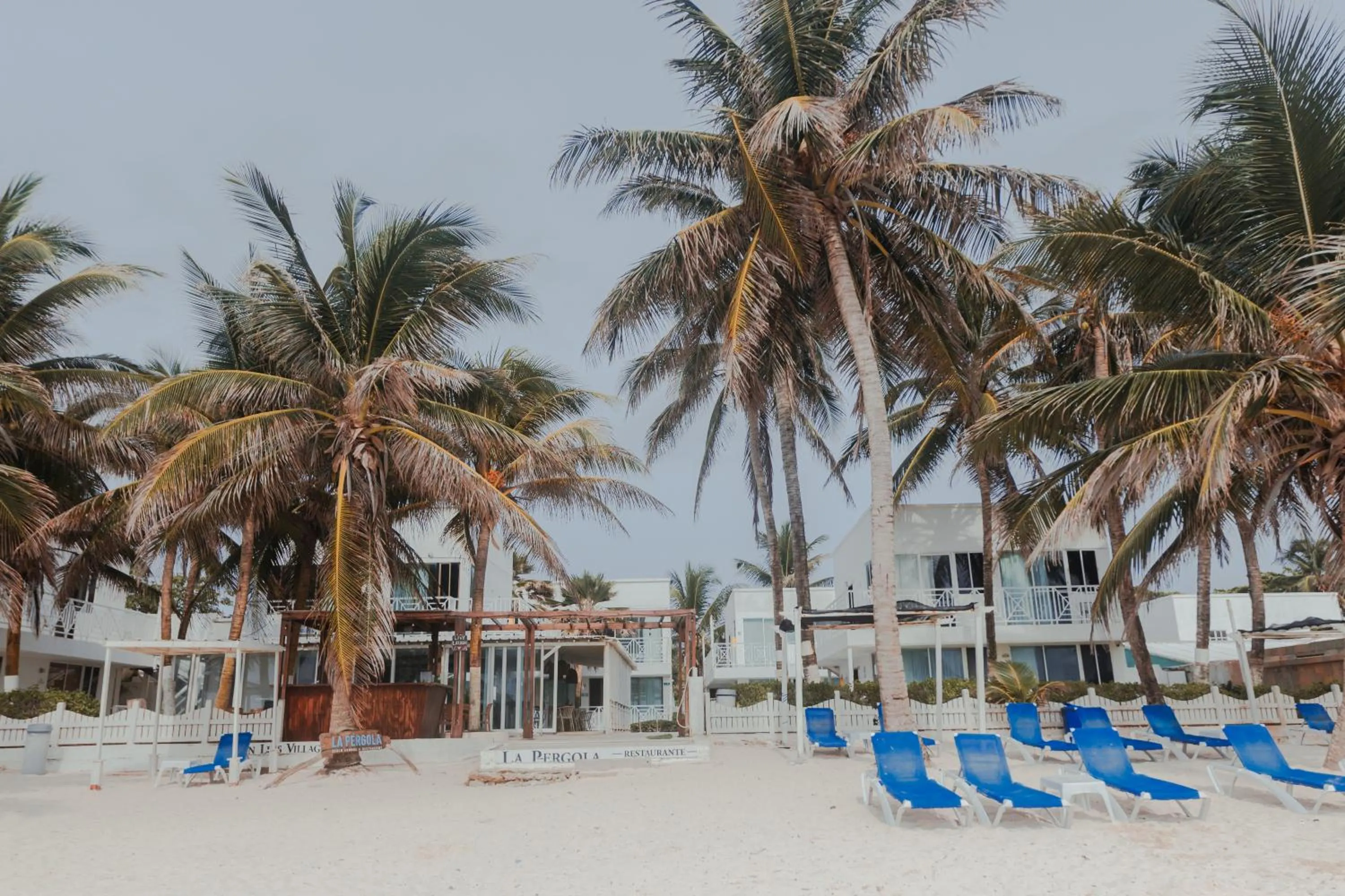 Beach in Hotel San Luis Beach House By OxoHotel