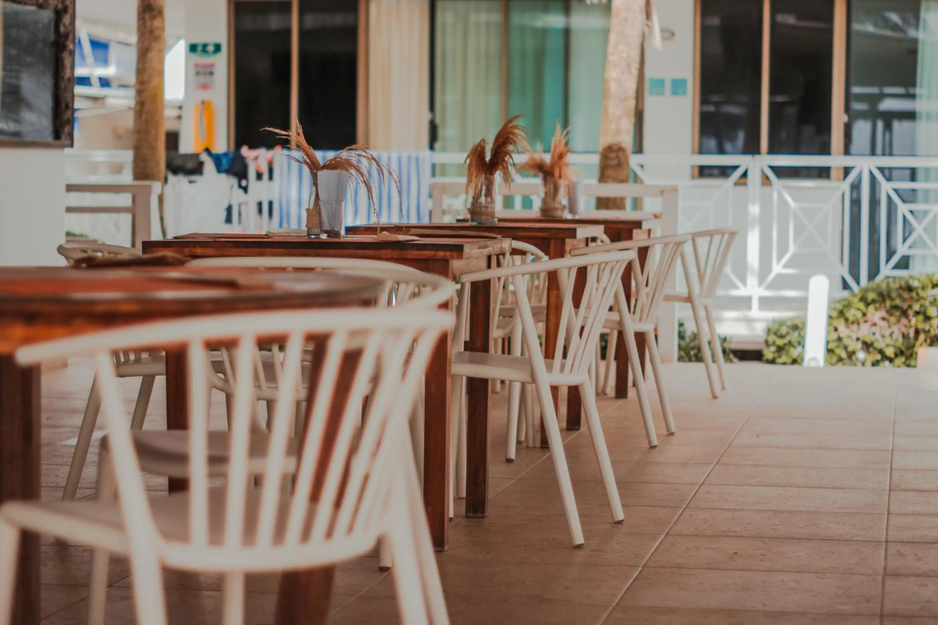 Restaurant/places to eat in Hotel San Luis Beach House By OxoHotel