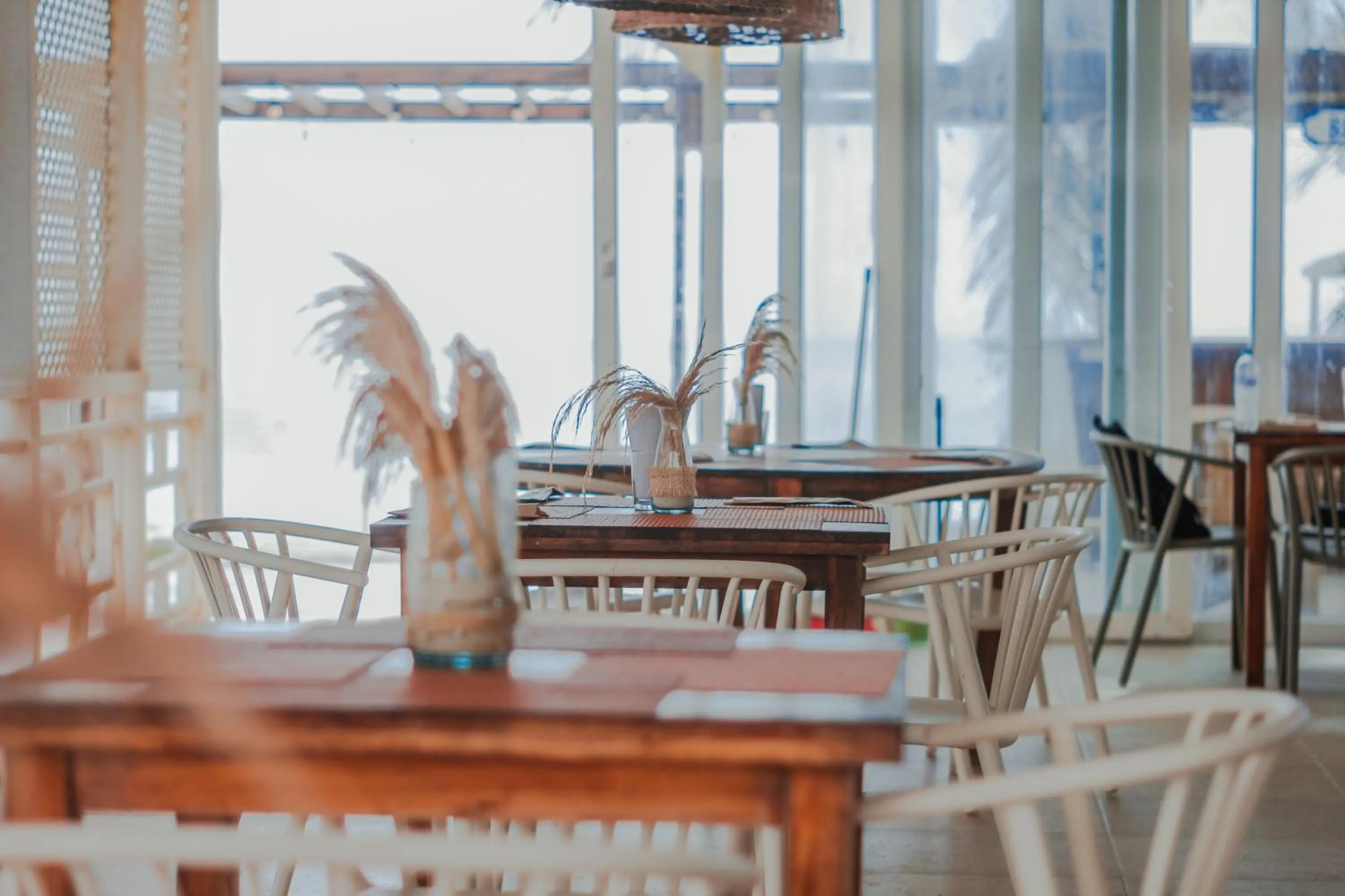 Restaurant/places to eat in Hotel San Luis Beach House By OxoHotel