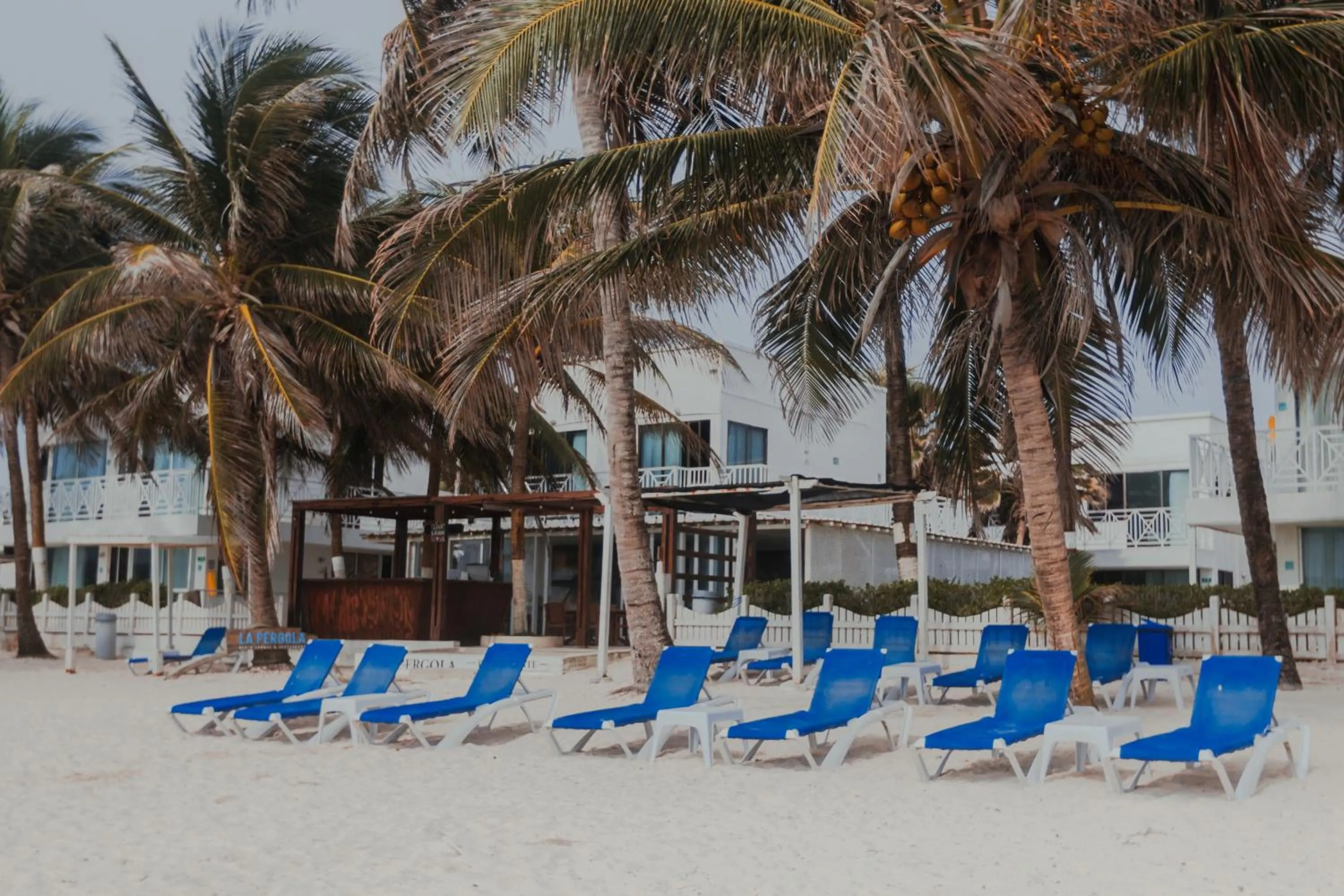 sunbed in Hotel San Luis Beach House By OxoHotel