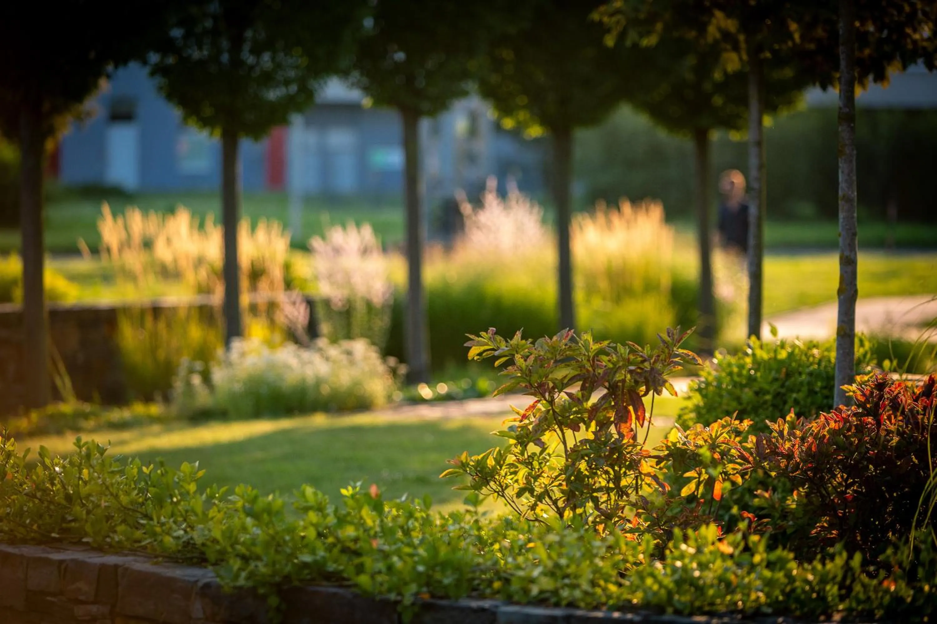 Garden in Wellness Hotel ABÁCIE