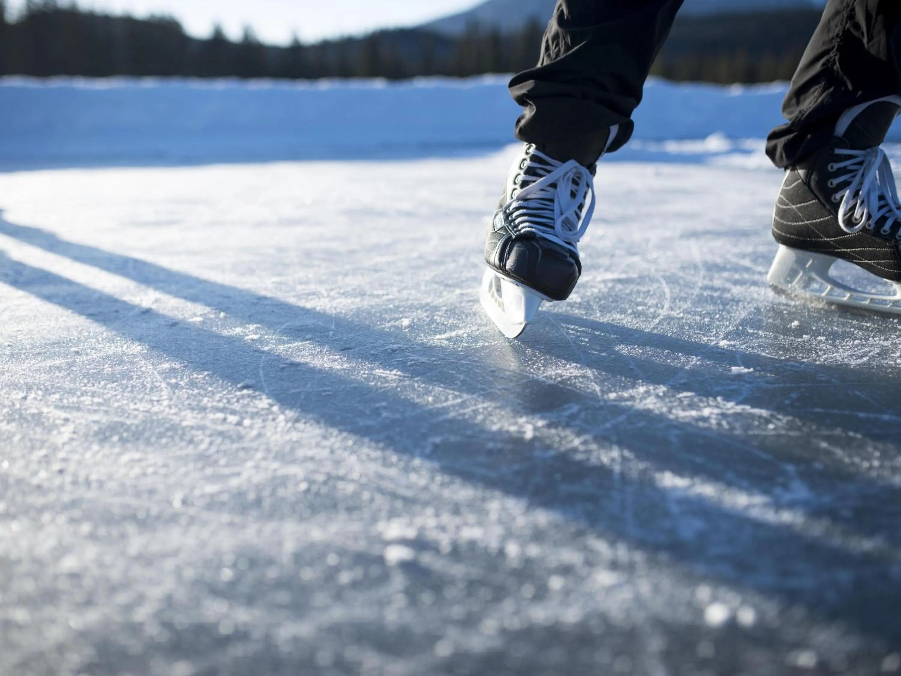 Other in Fairmont Jasper Park Lodge