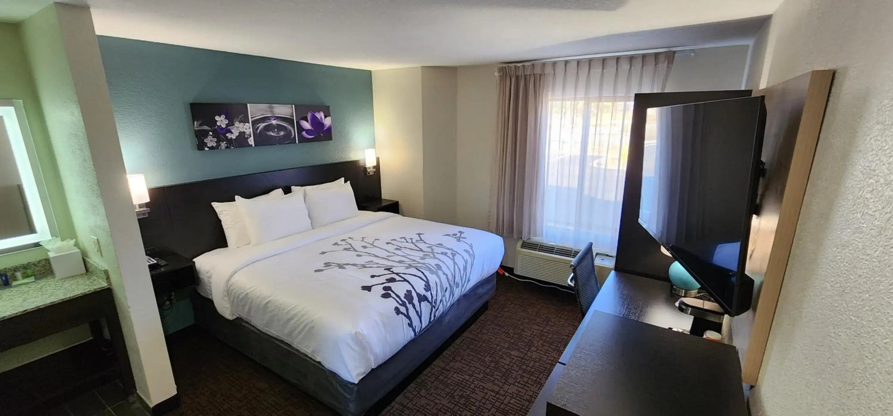 Single Room with Roll-In Shower - Disability Access/Non Smoking in Sleep Inn Olathe - Kansas City Single Room with Roll-In Shower - Disability Access/Non Smoking in Sleep Inn Olathe - Kansas City