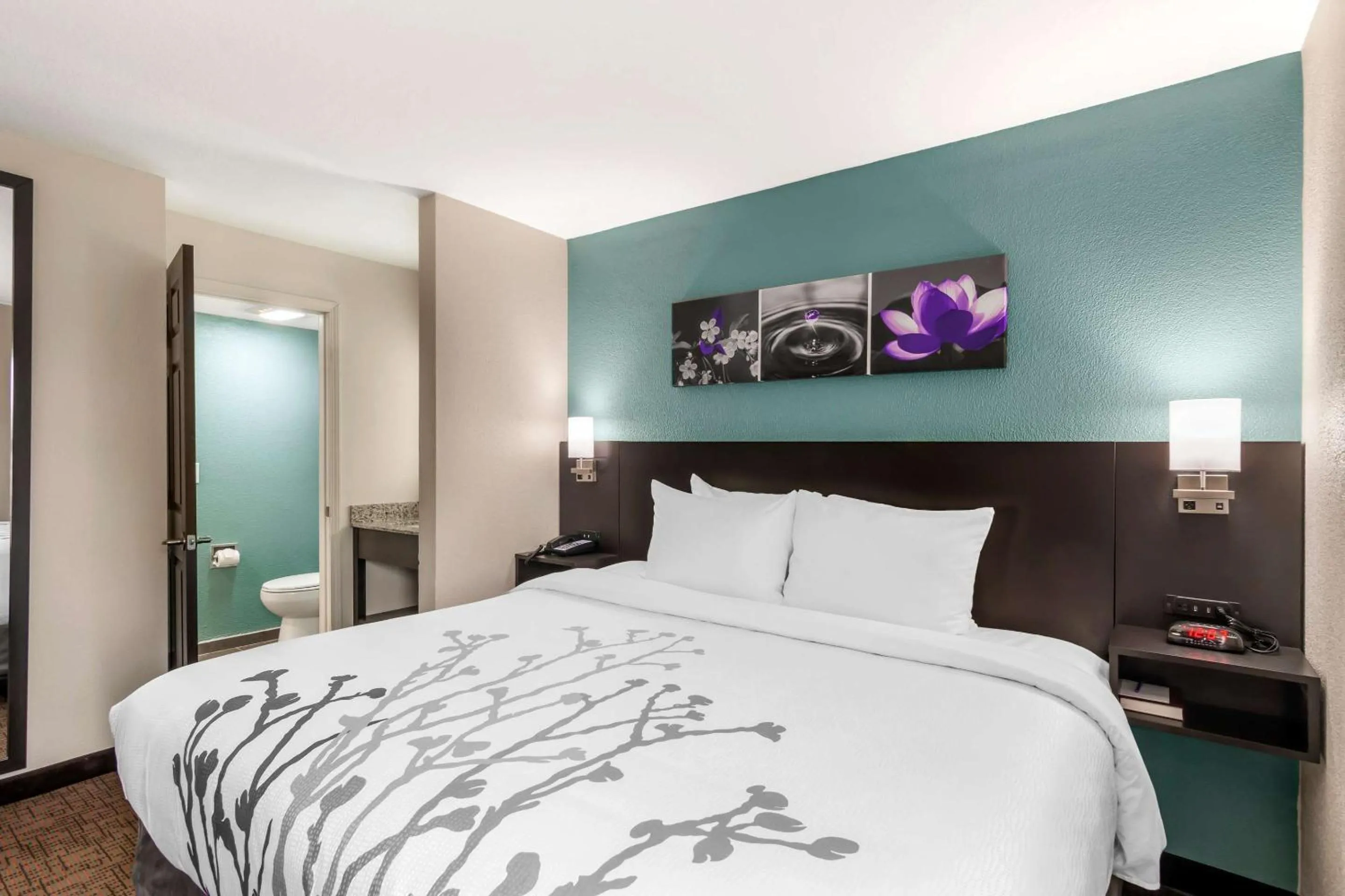 Bedroom, Bed in Sleep Inn Olathe - Kansas City