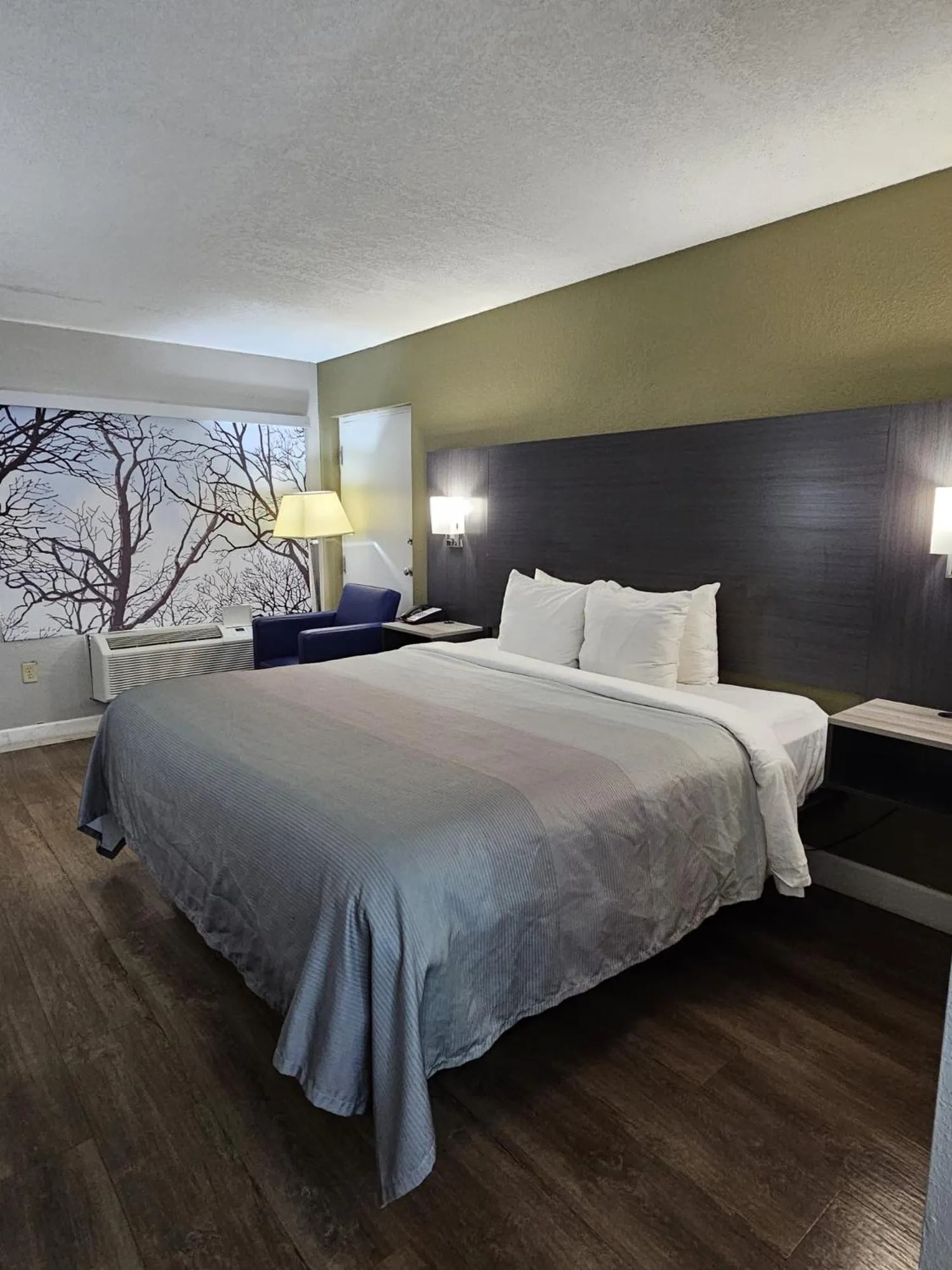 Bed in Quality Inn near Blue Spring