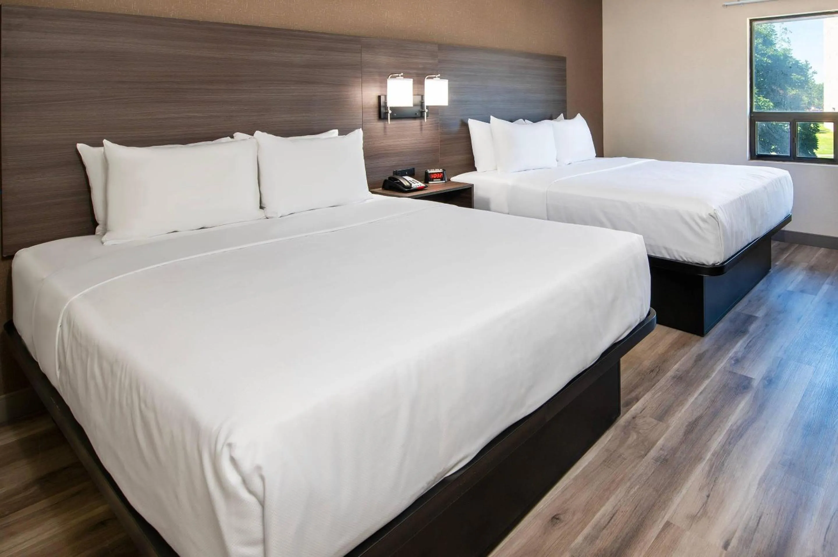 Bedroom, Bed in Quality Inn