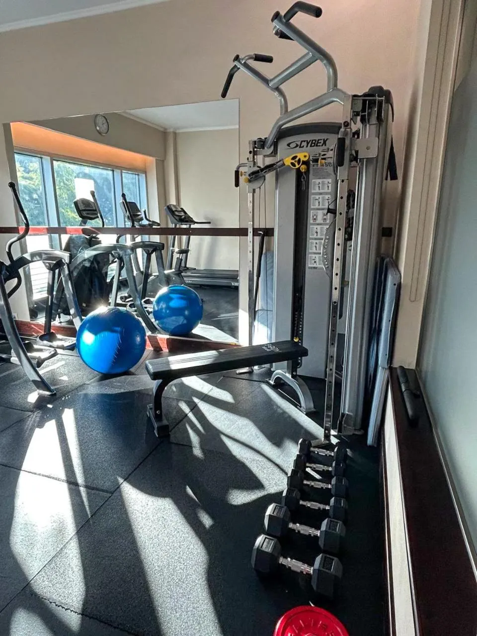 Fitness centre/facilities in Eurobuilding Hotel Boutique Buenos Aires
