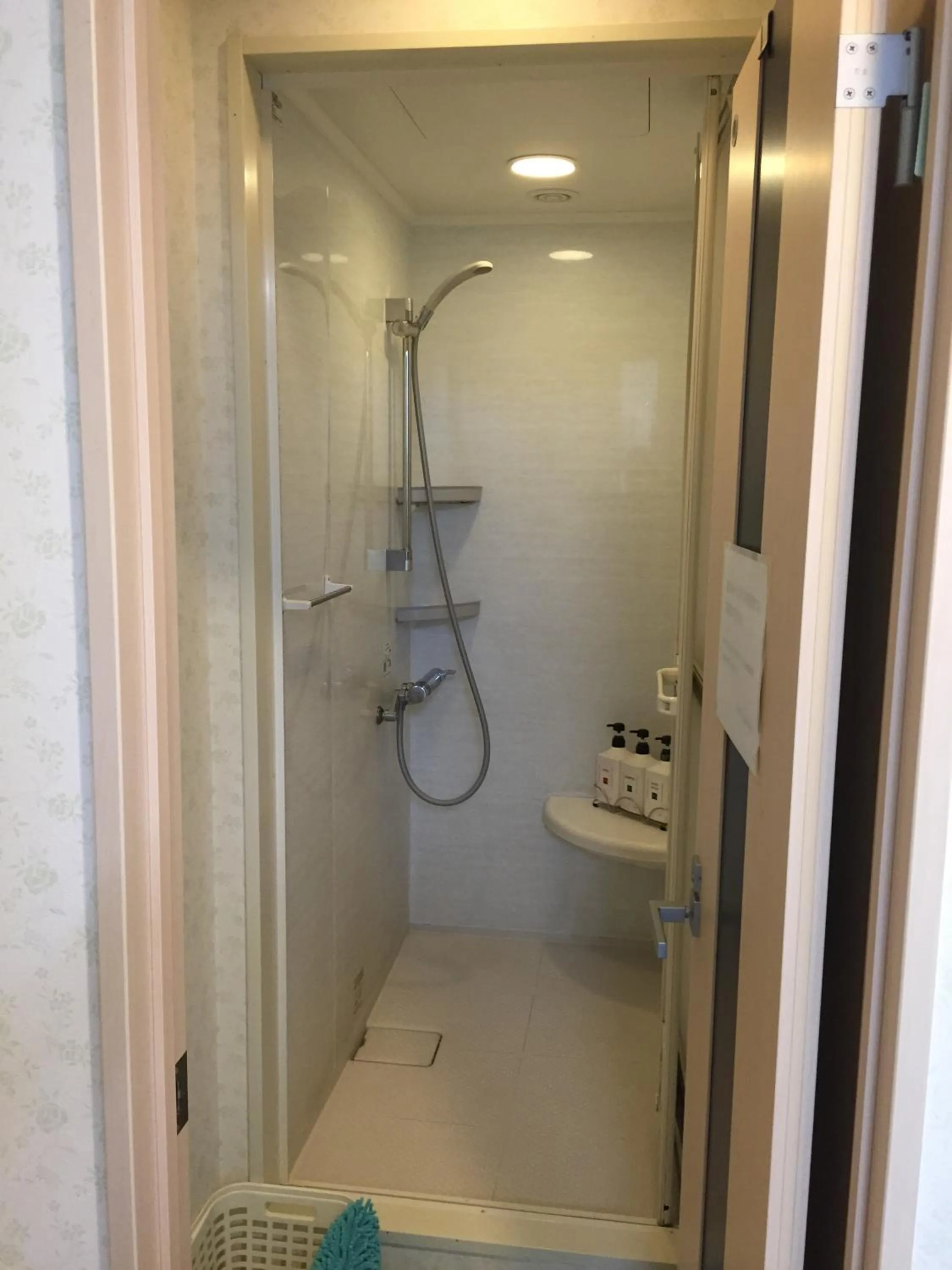 Shower in Hotel Palace Japan