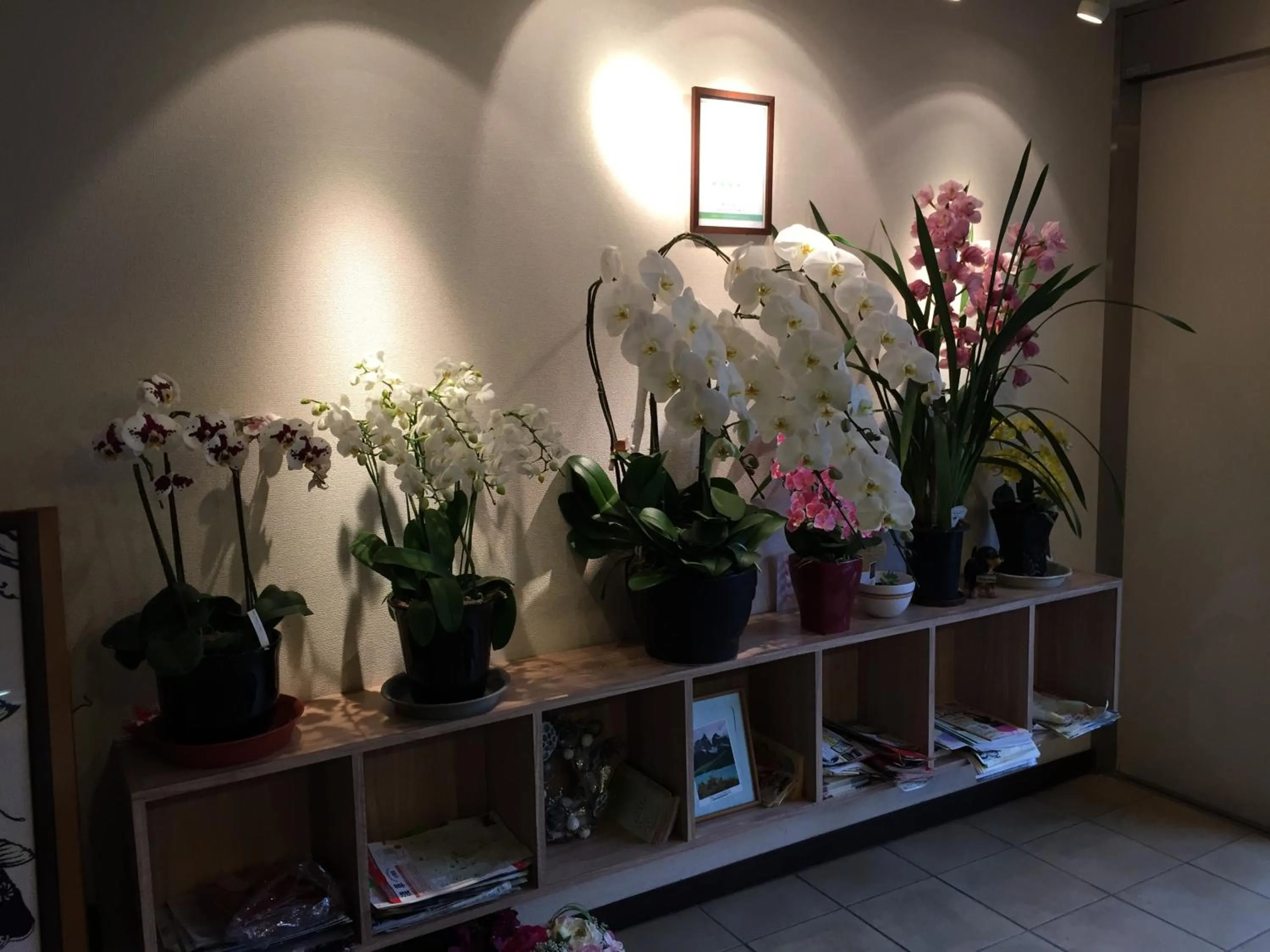 Lobby or reception in Hotel Palace Japan