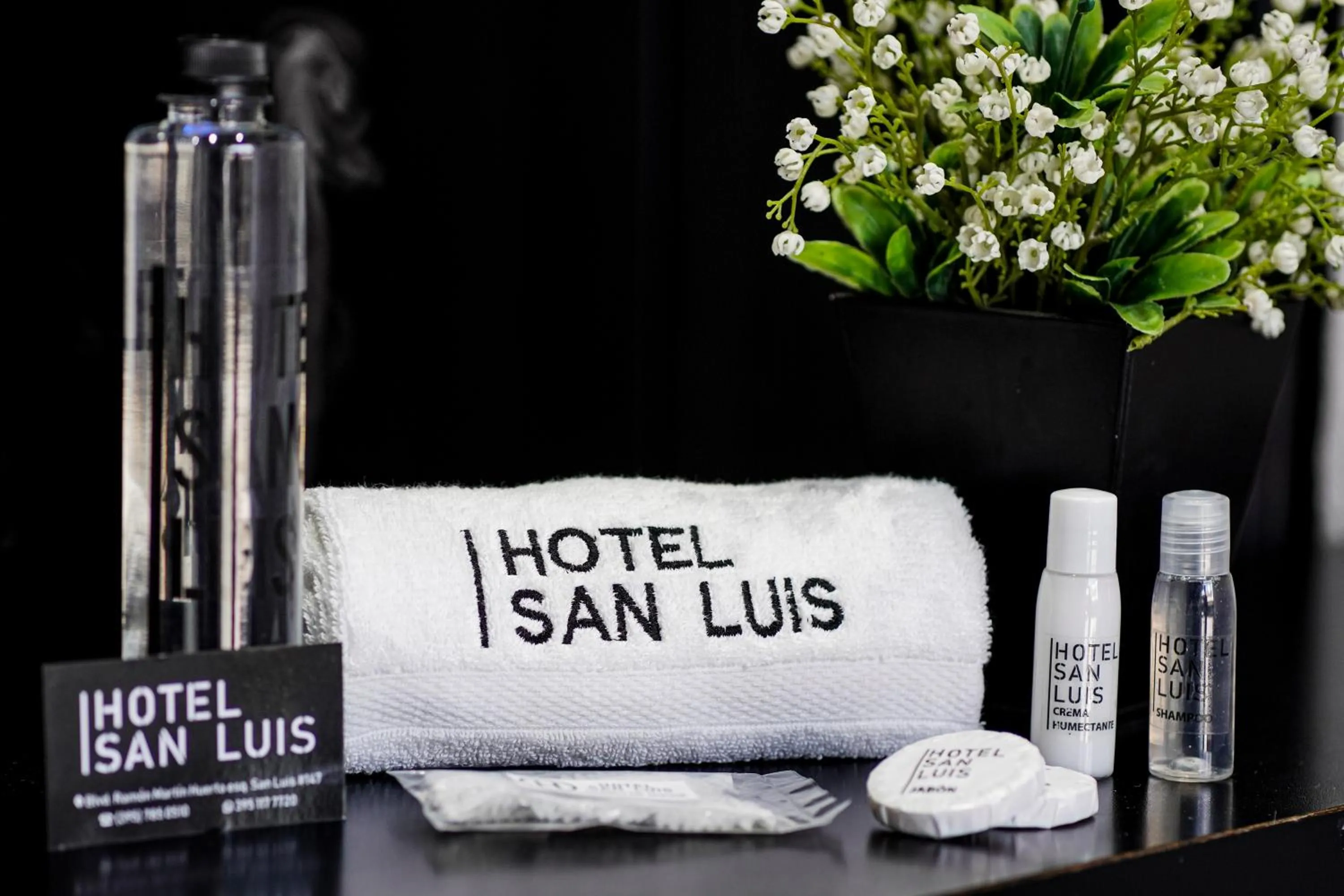 Decorative detail in Hotel San Luis