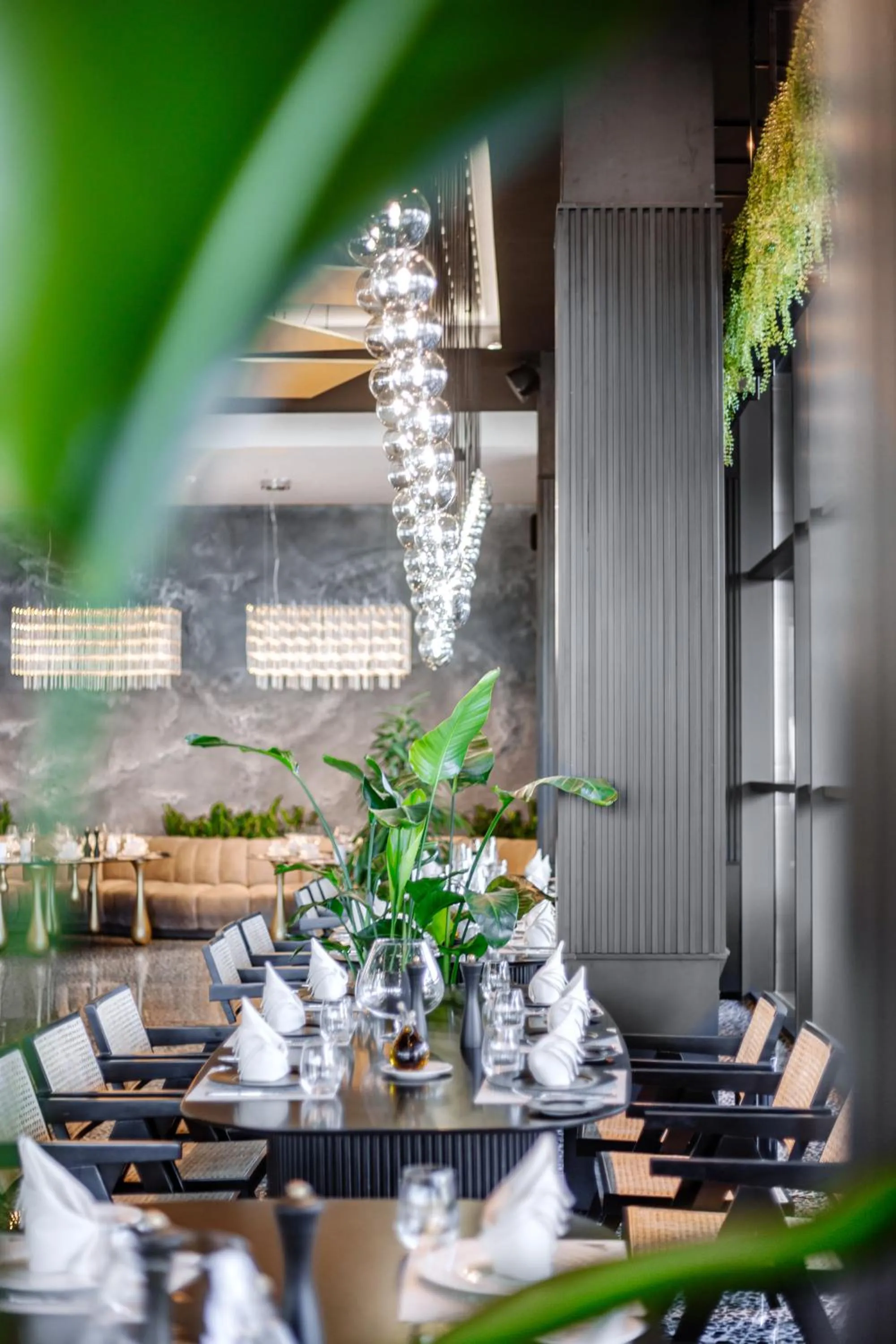 Restaurant/places to eat in Hotel Mirror