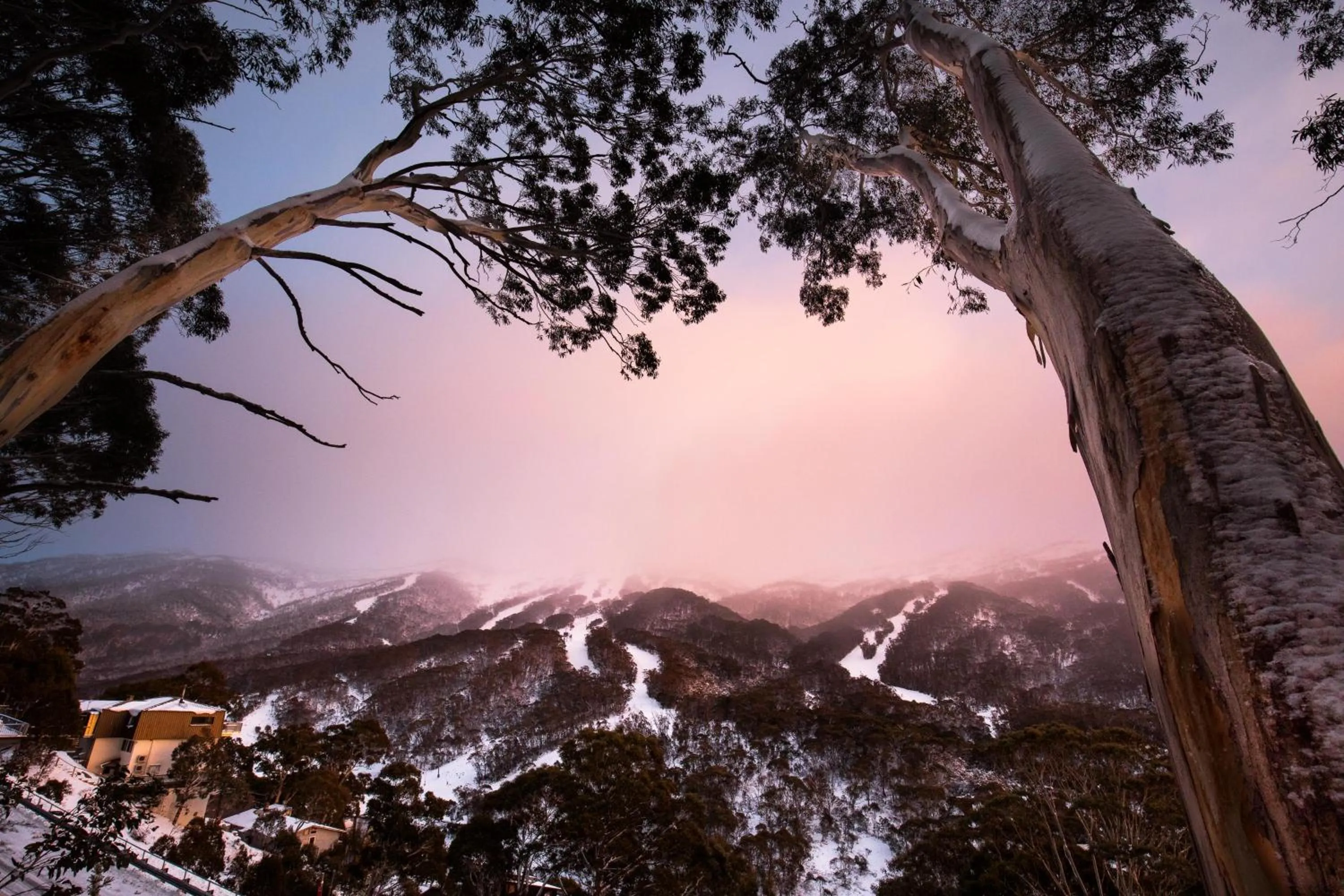 Thredbo Alpine Hotel
