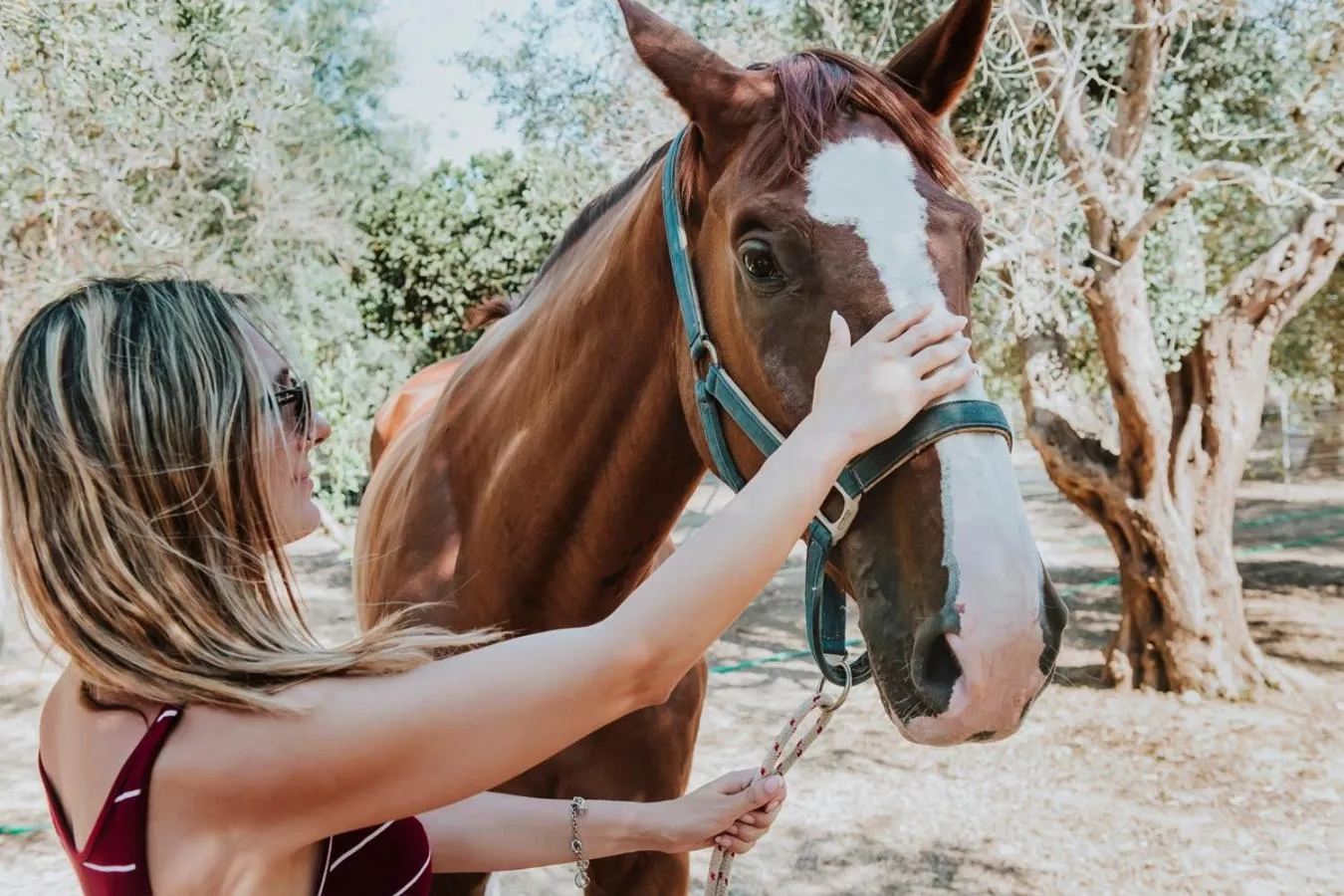 Masseria L'Uliveto Agri Resort