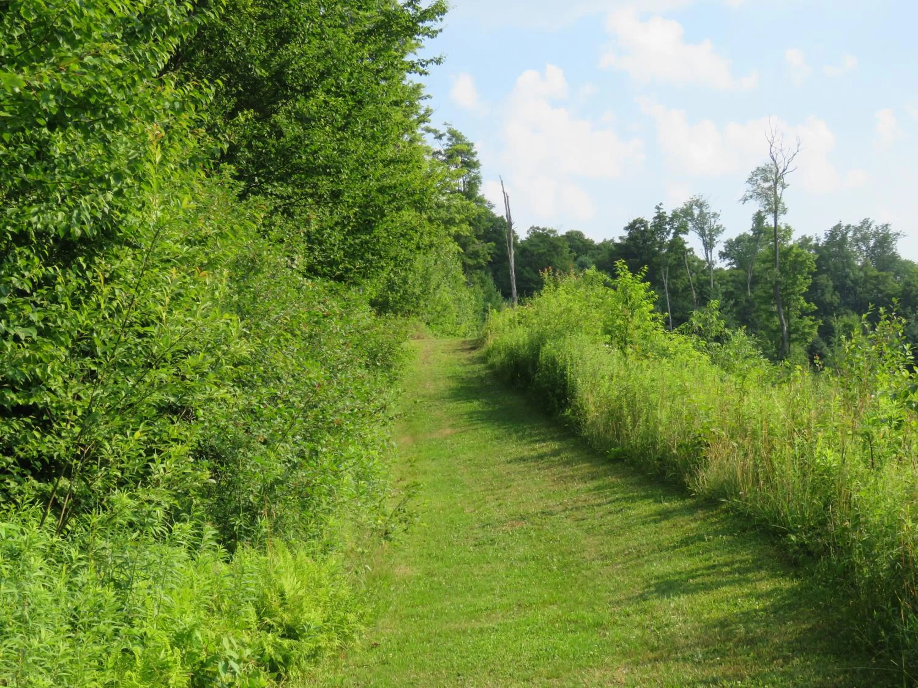 Hiking in Tug Hill Resort