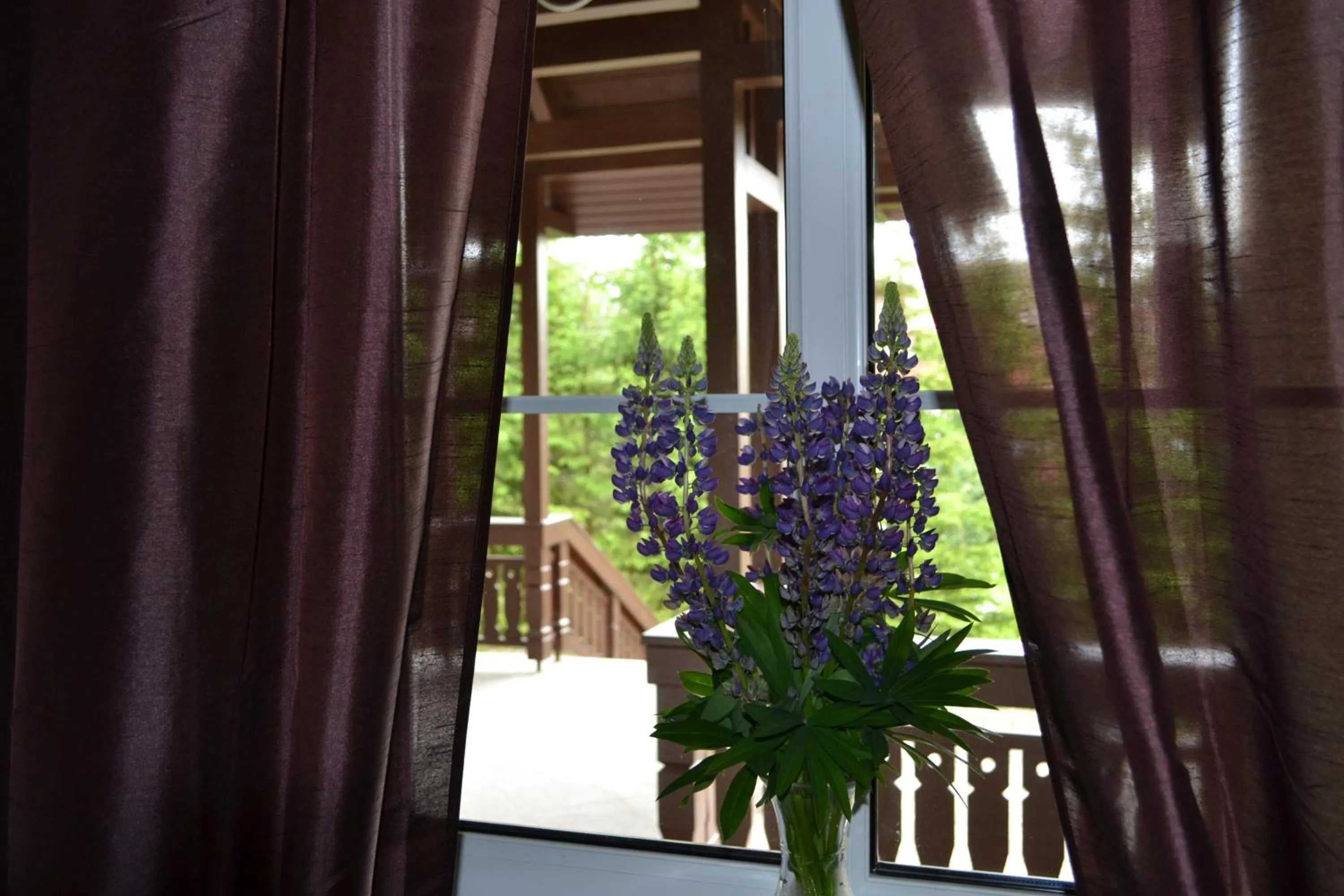 View (from property/room) in Greenwood hotel