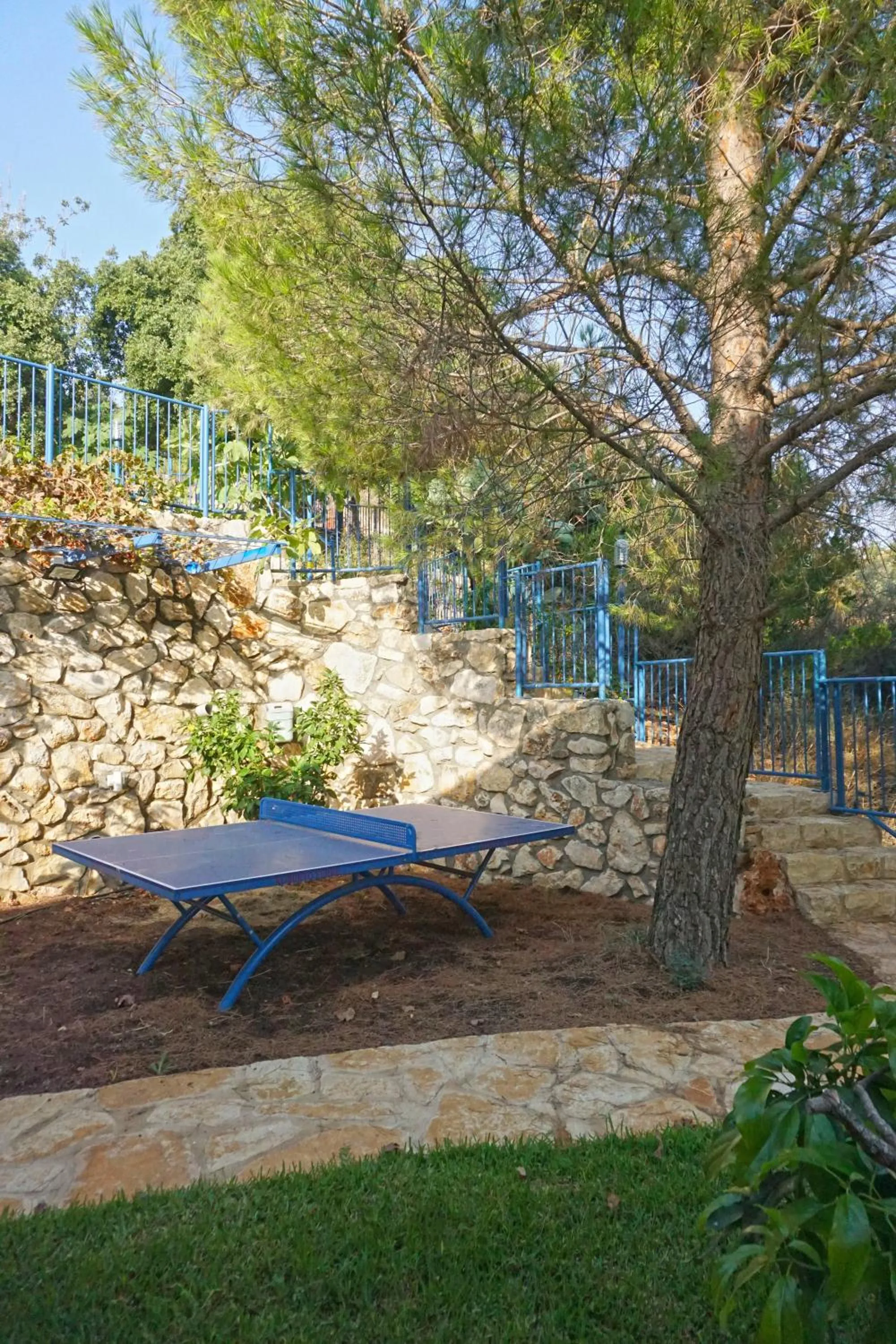 Garden in Ohn-Bar Guesthouse