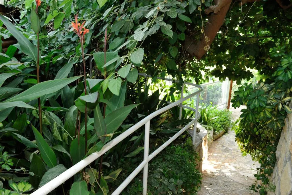 Balcony/Terrace in Ohn-Bar Guesthouse
