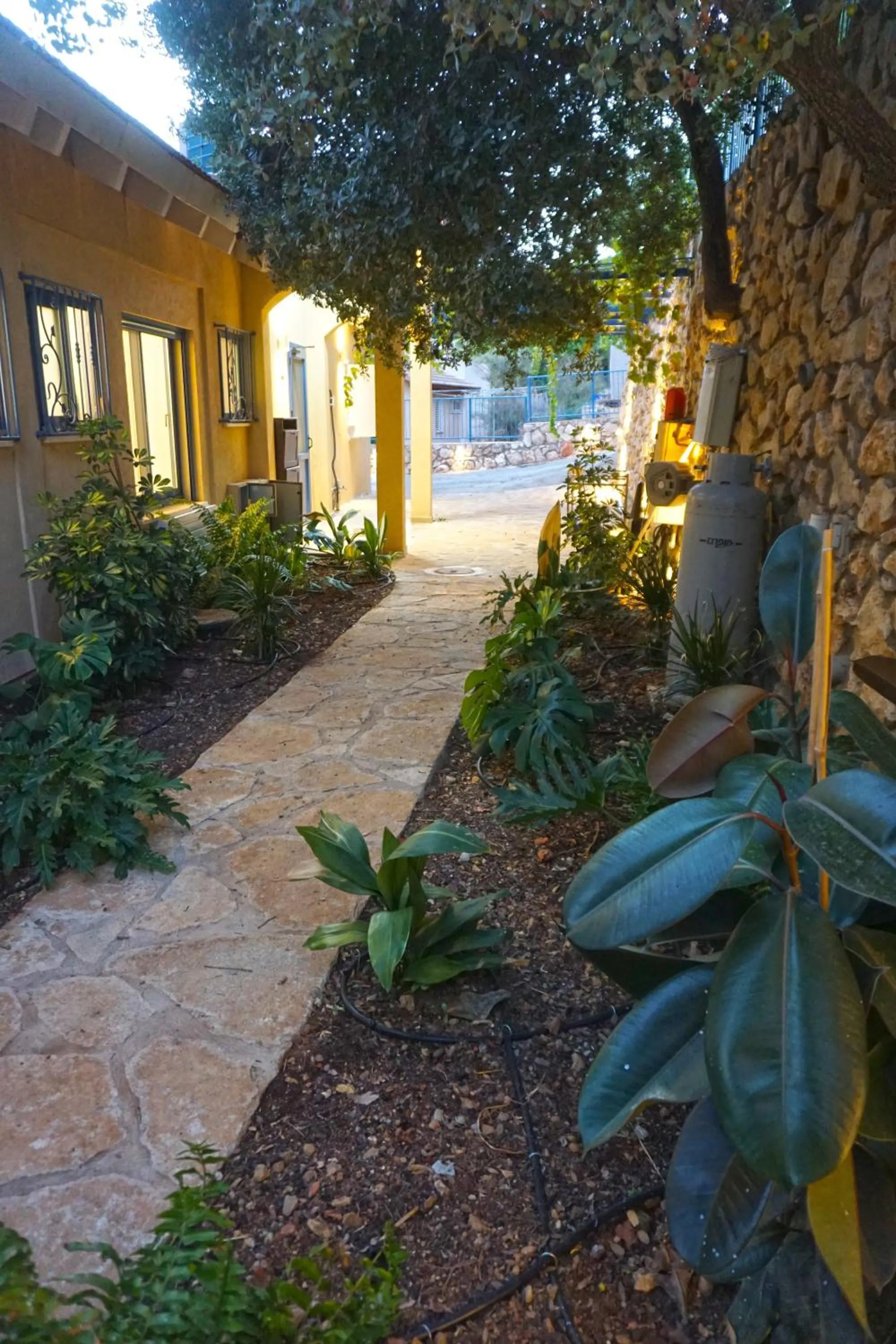 Garden in Ohn-Bar Guesthouse