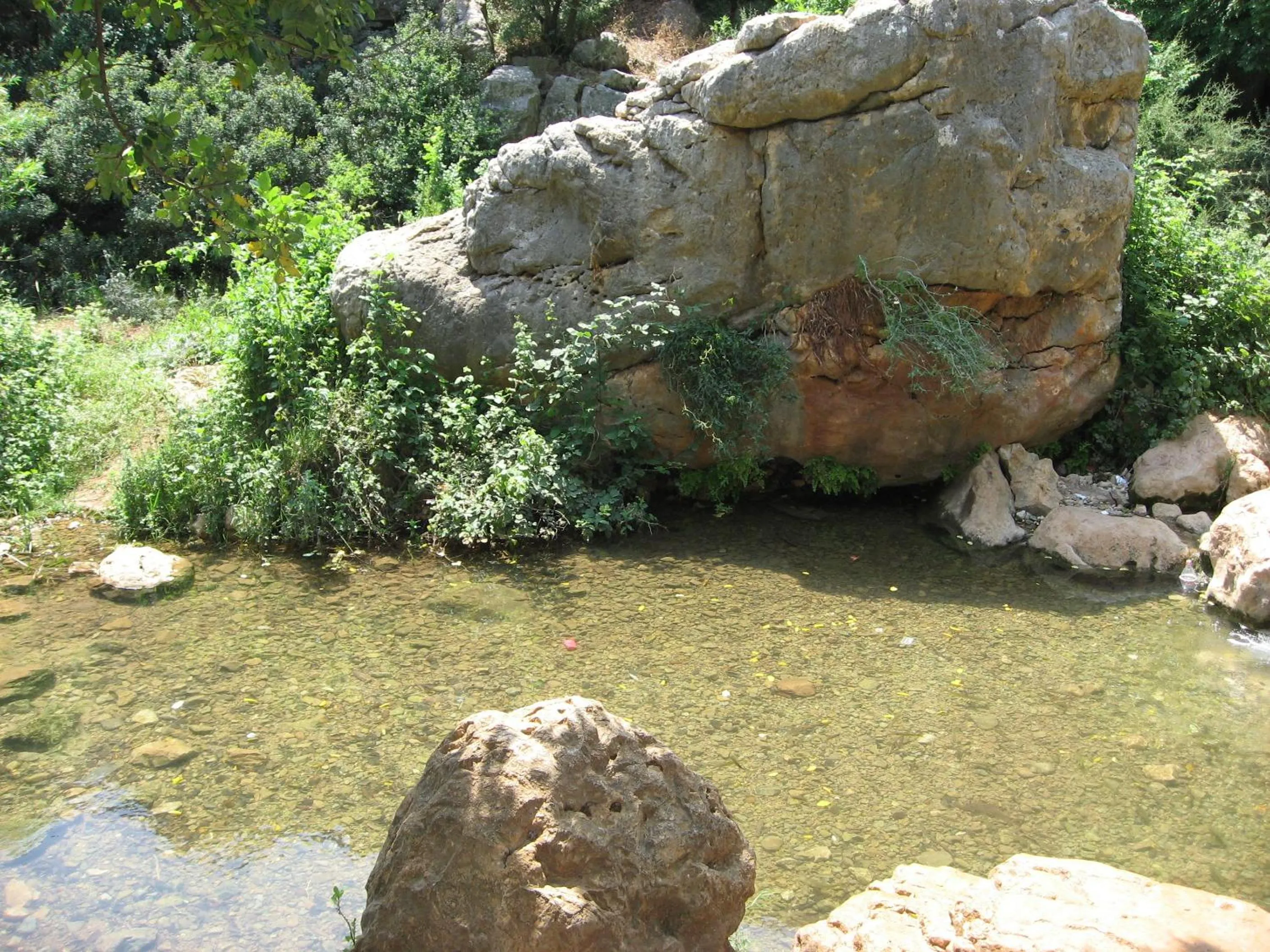 Natural landscape in Ohn-Bar Guesthouse