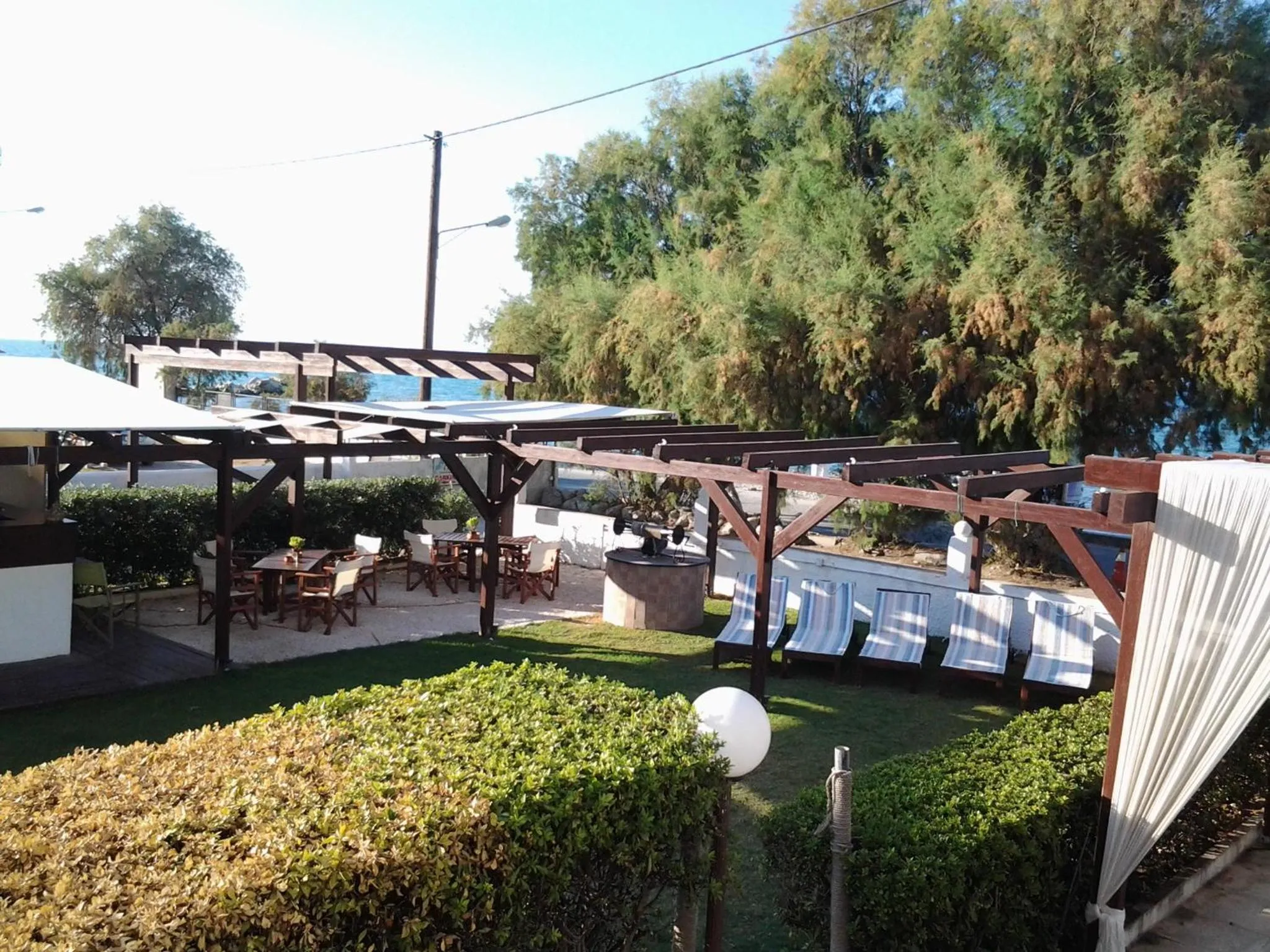 Garden in Chris Studios & Apartments