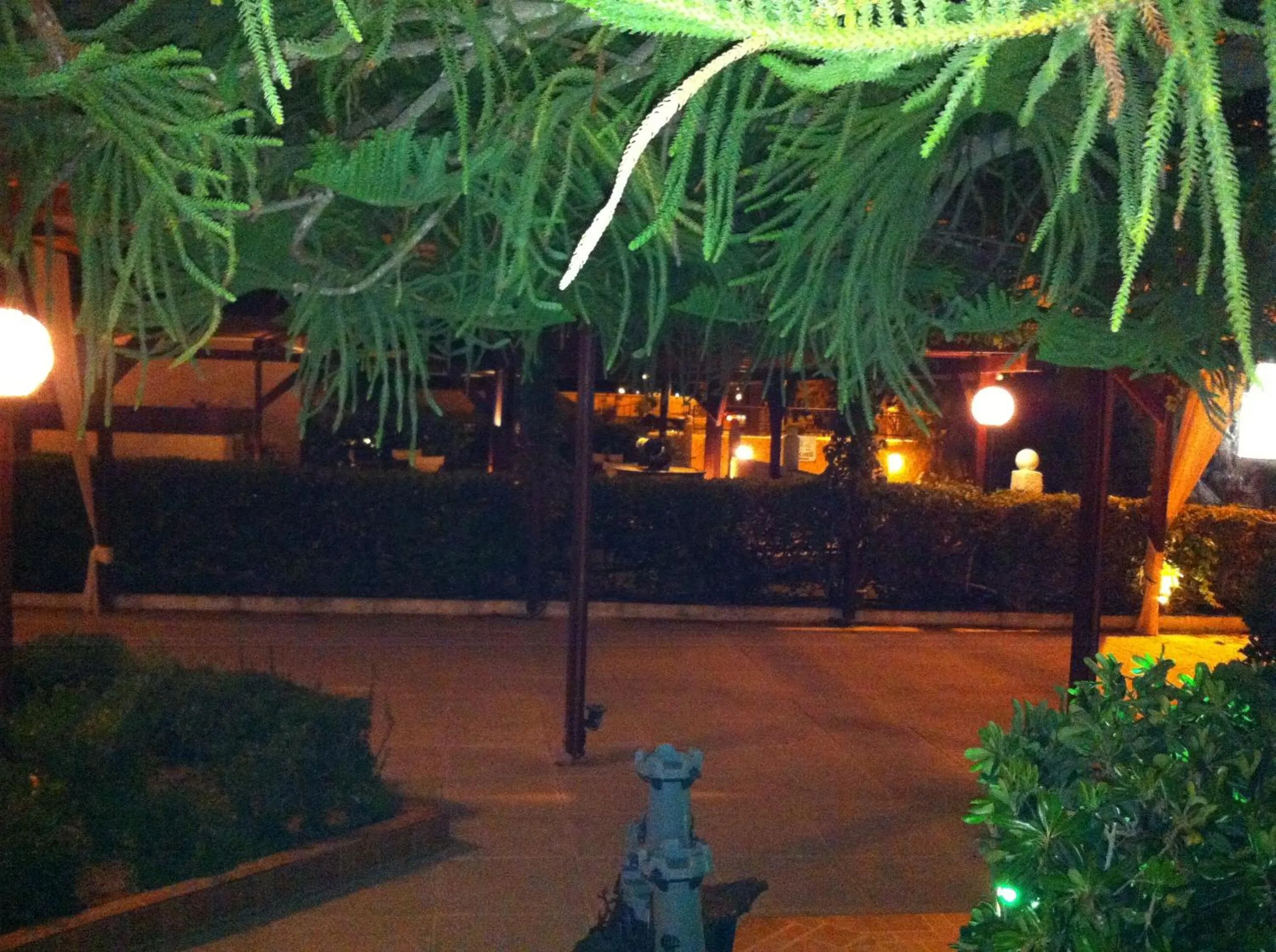 Garden in Chris Studios & Apartments