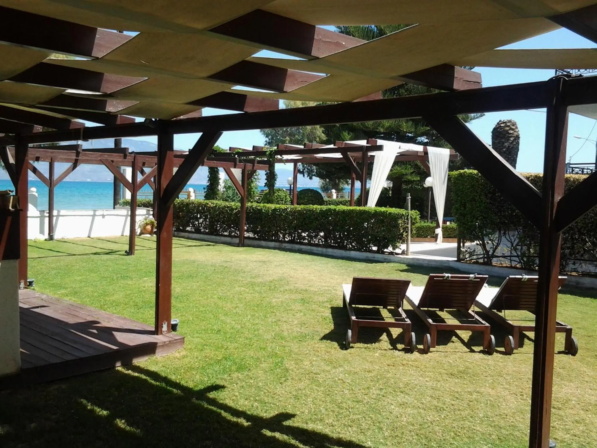 Garden in Chris Studios & Apartments