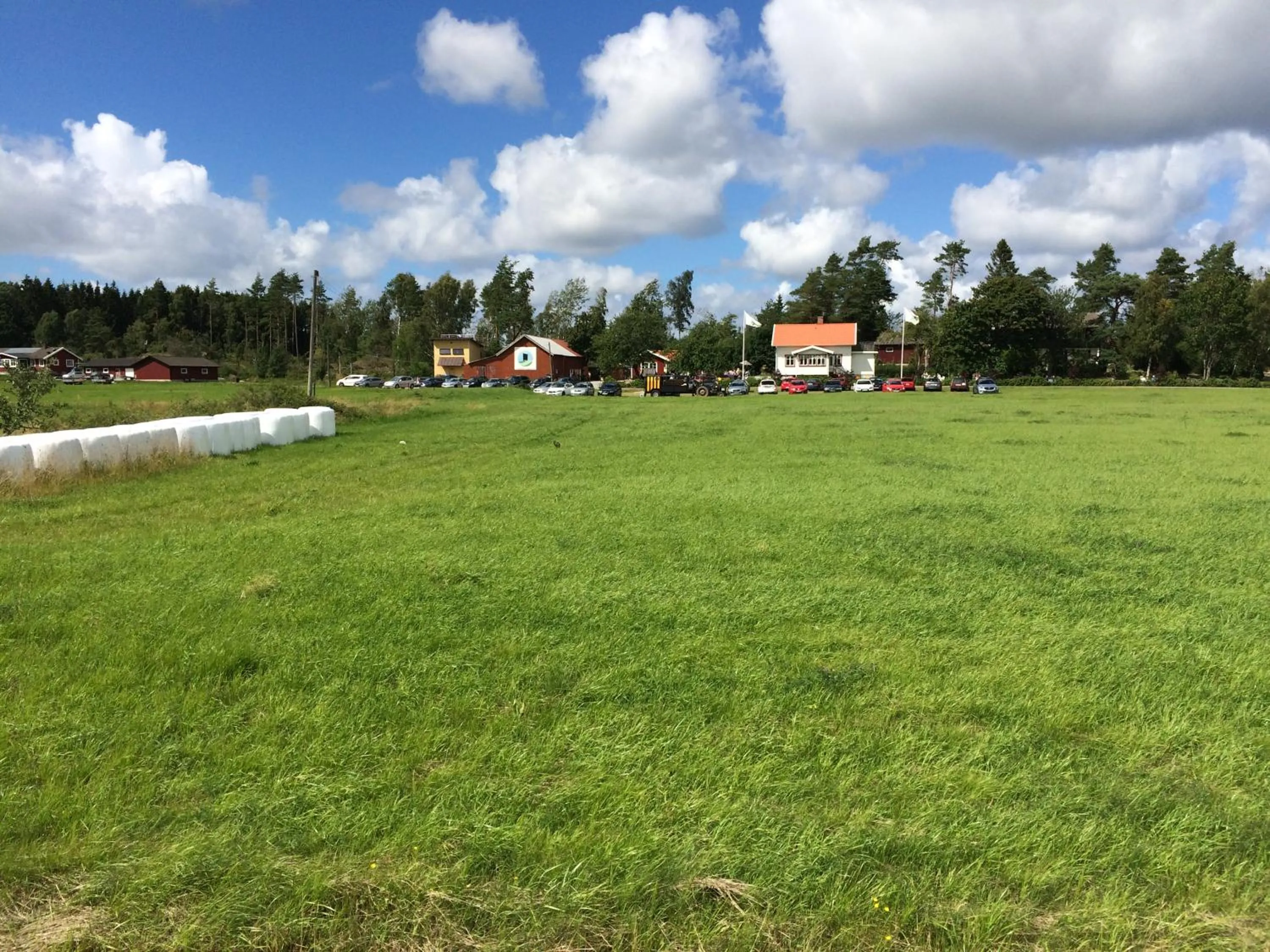 Off site in Tavlebords Honungsgård