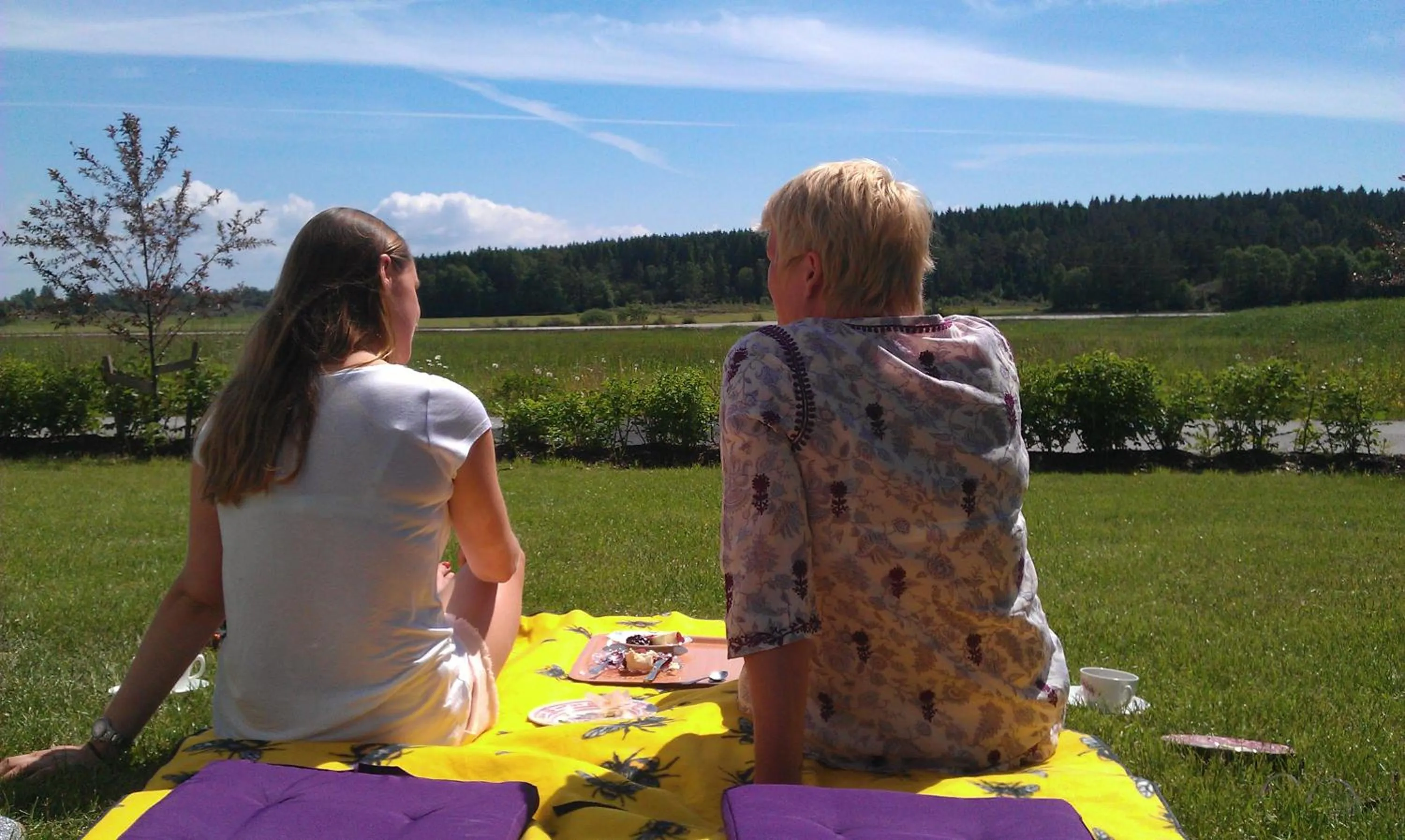 Patio in Tavlebords Honungsgård