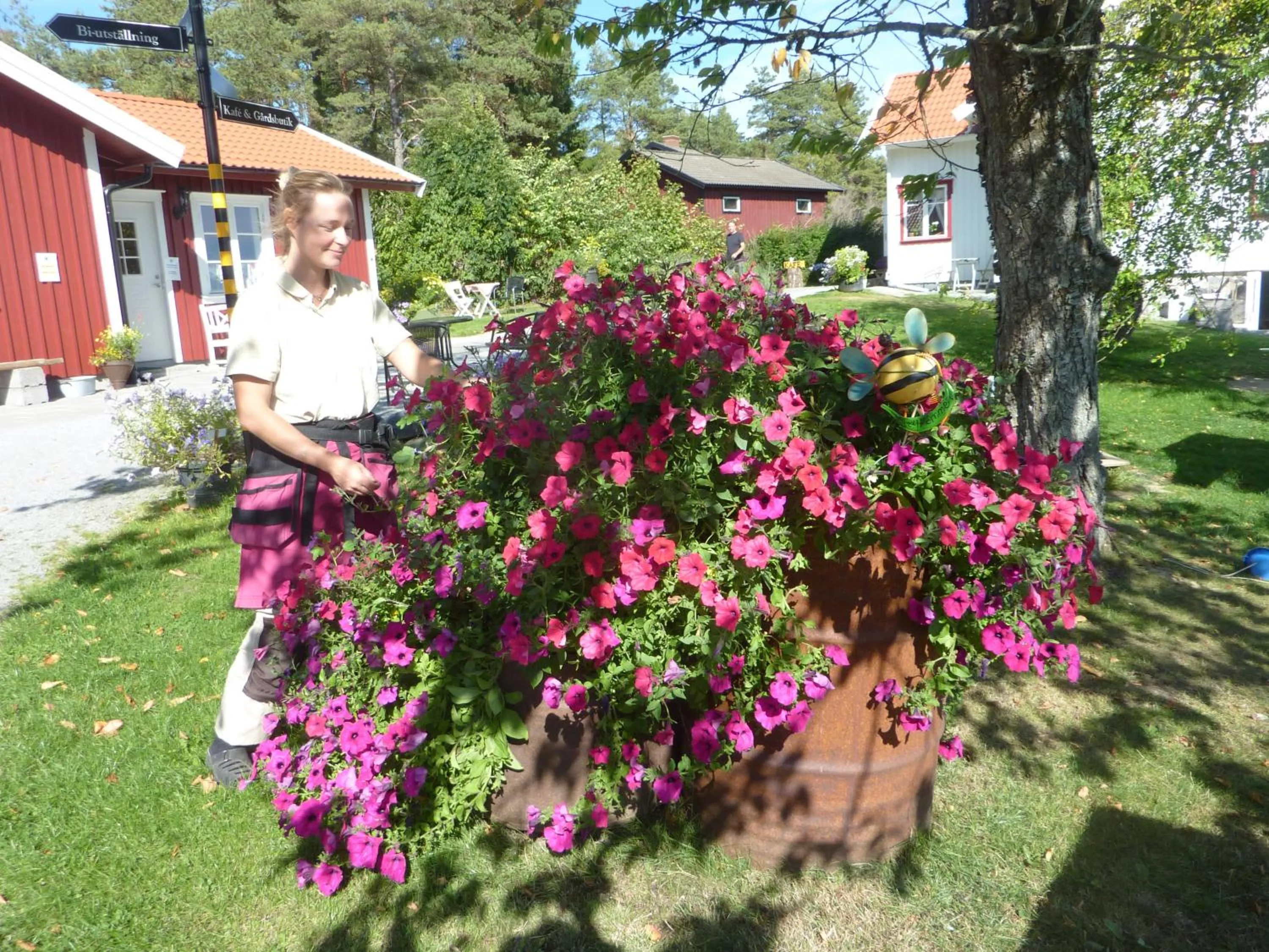 Garden in Tavlebords Honungsgård