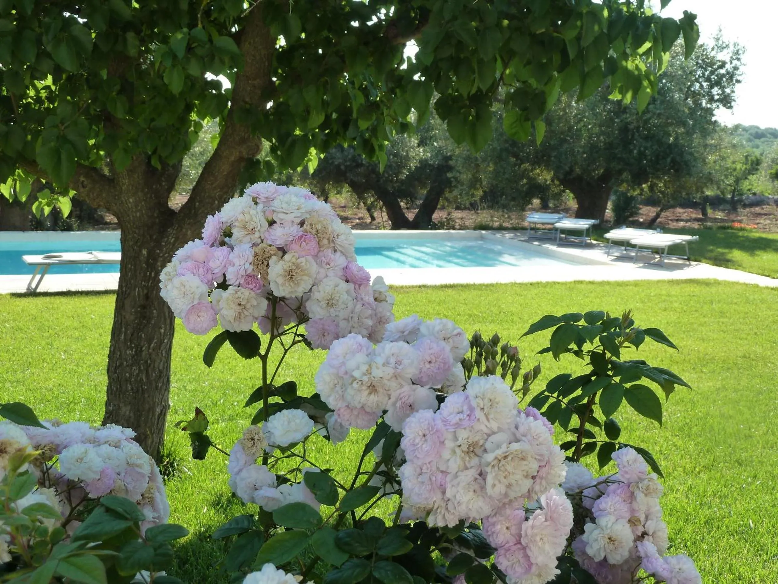 Decorative detail in B&B Don Giovanni Monopoli