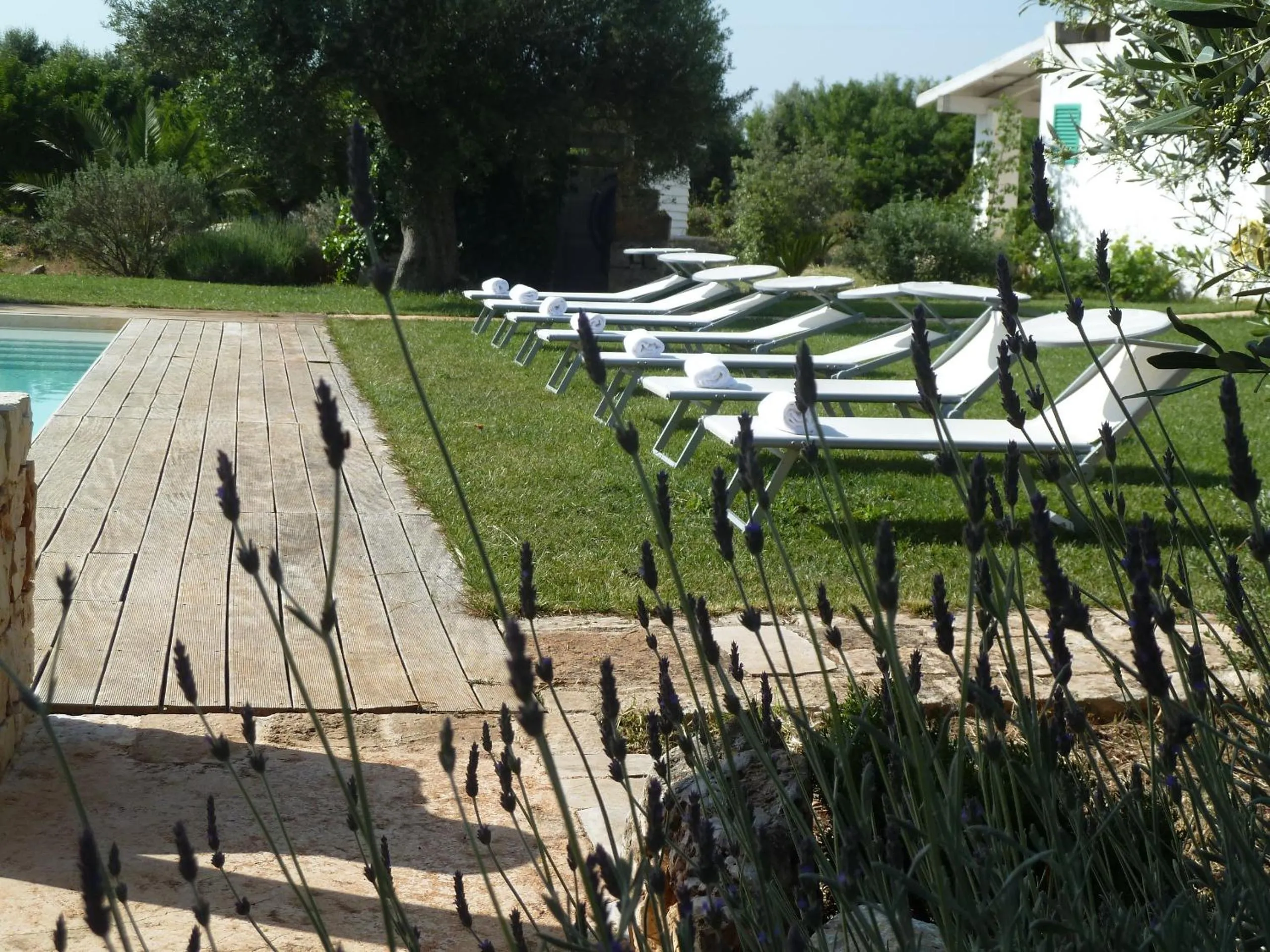 Day in B&B Don Giovanni Monopoli