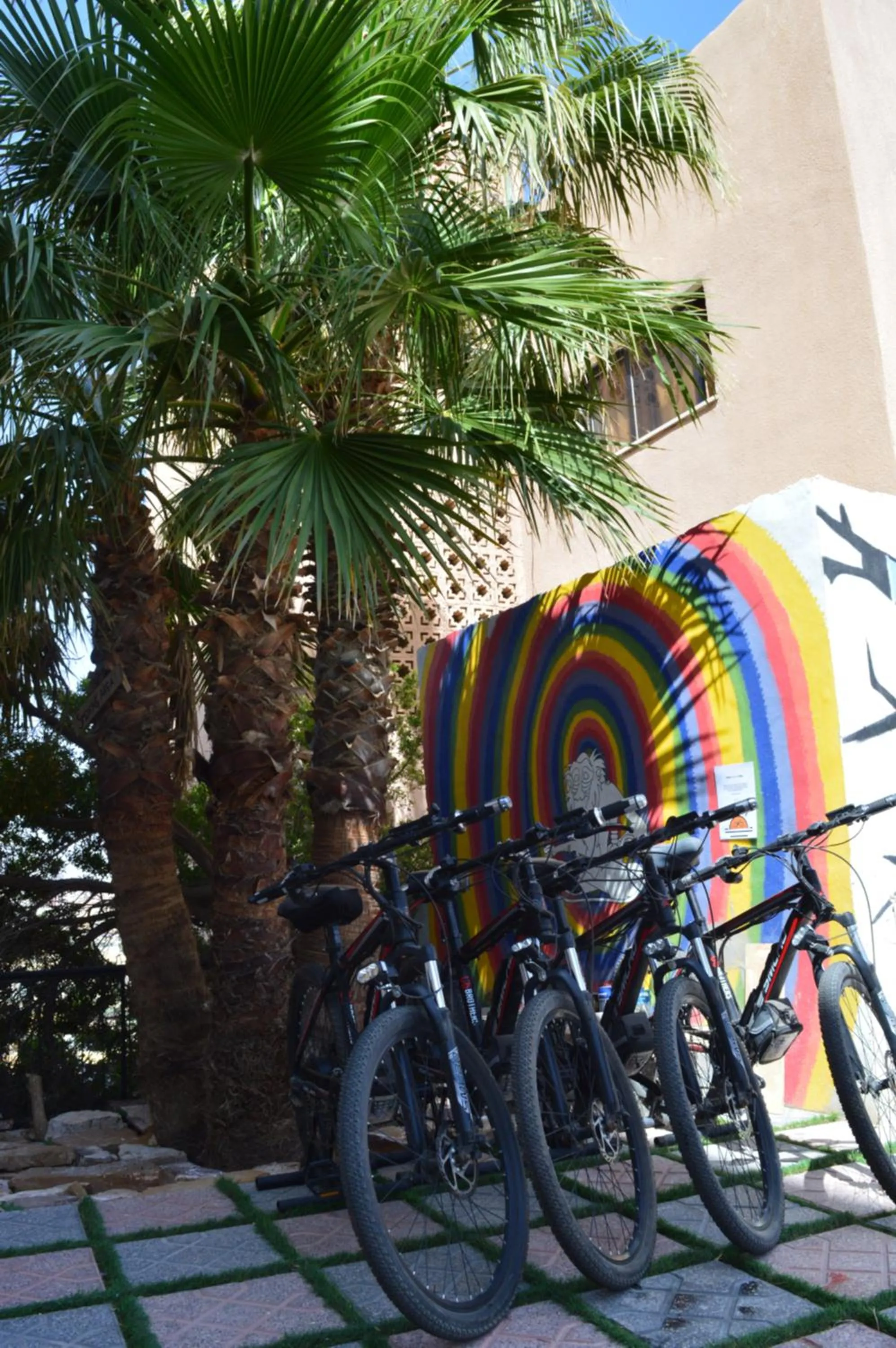 Activities in Rafiki Hostel