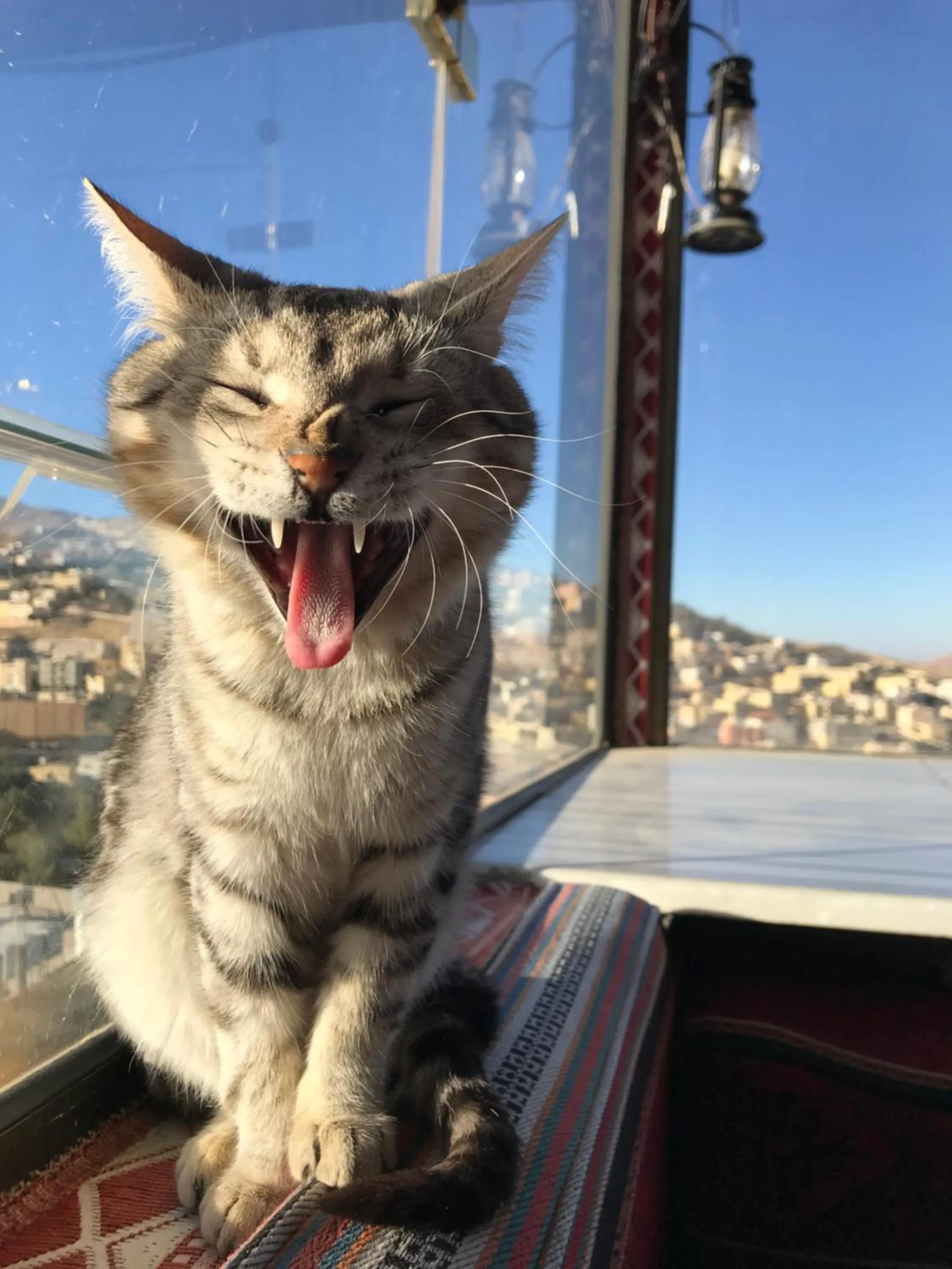 View (from property/room) in Rafiki Hostel