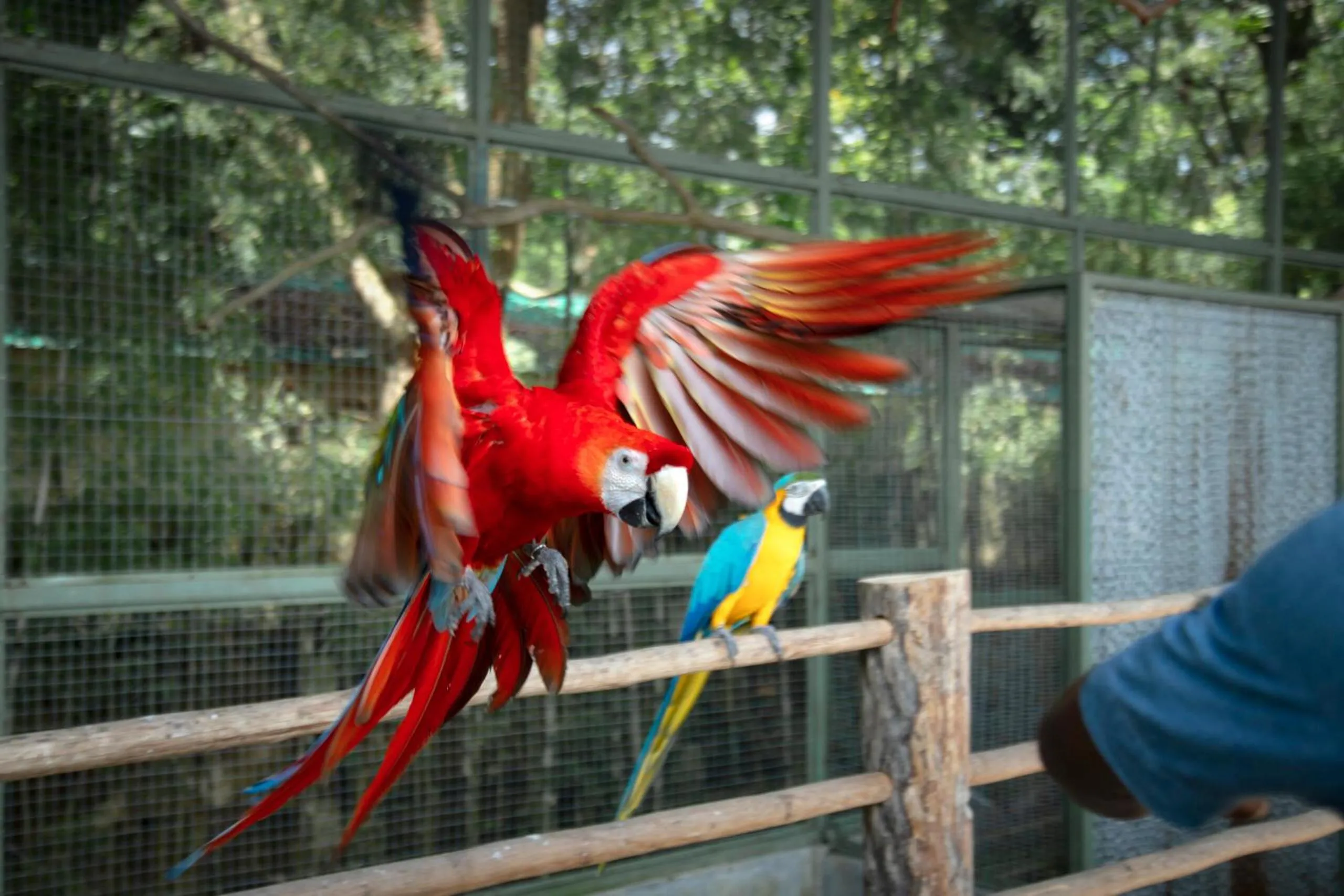 Activities in Panbil Residence Serviced Apartment