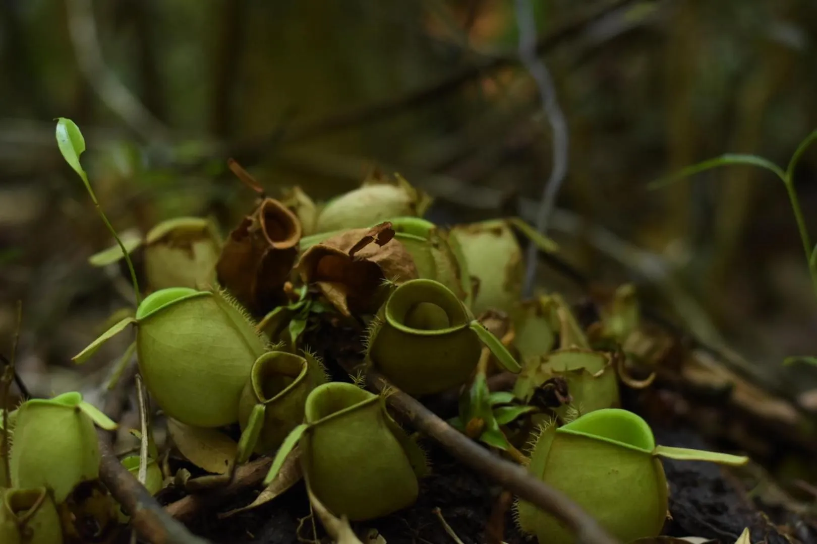 Activities in Panbil Residence Serviced Apartment