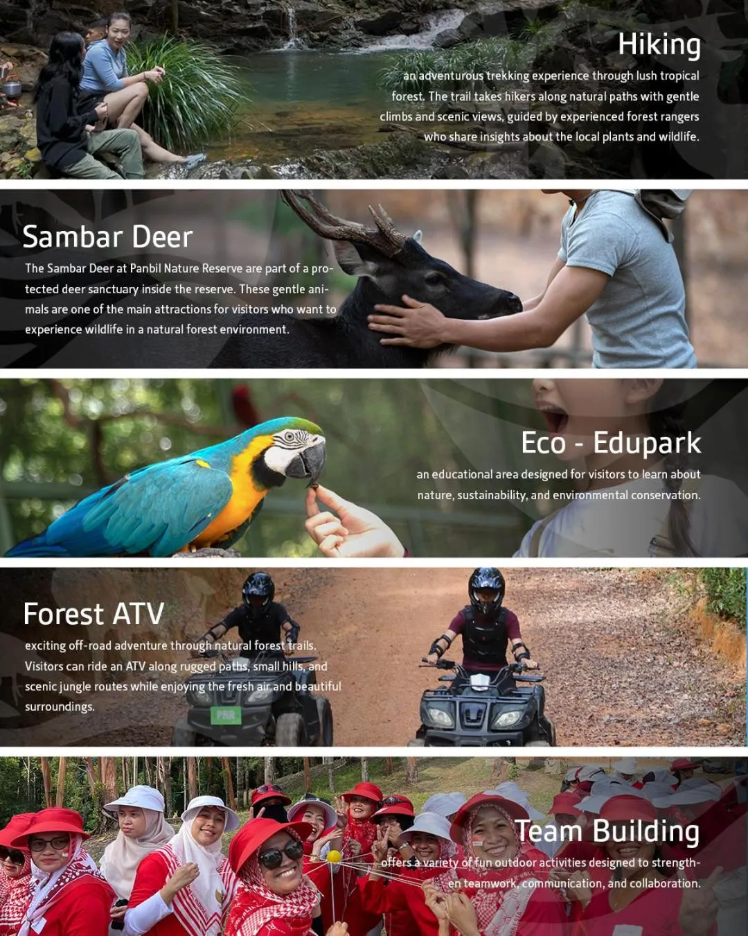 Activities in Panbil Residence Serviced Apartment