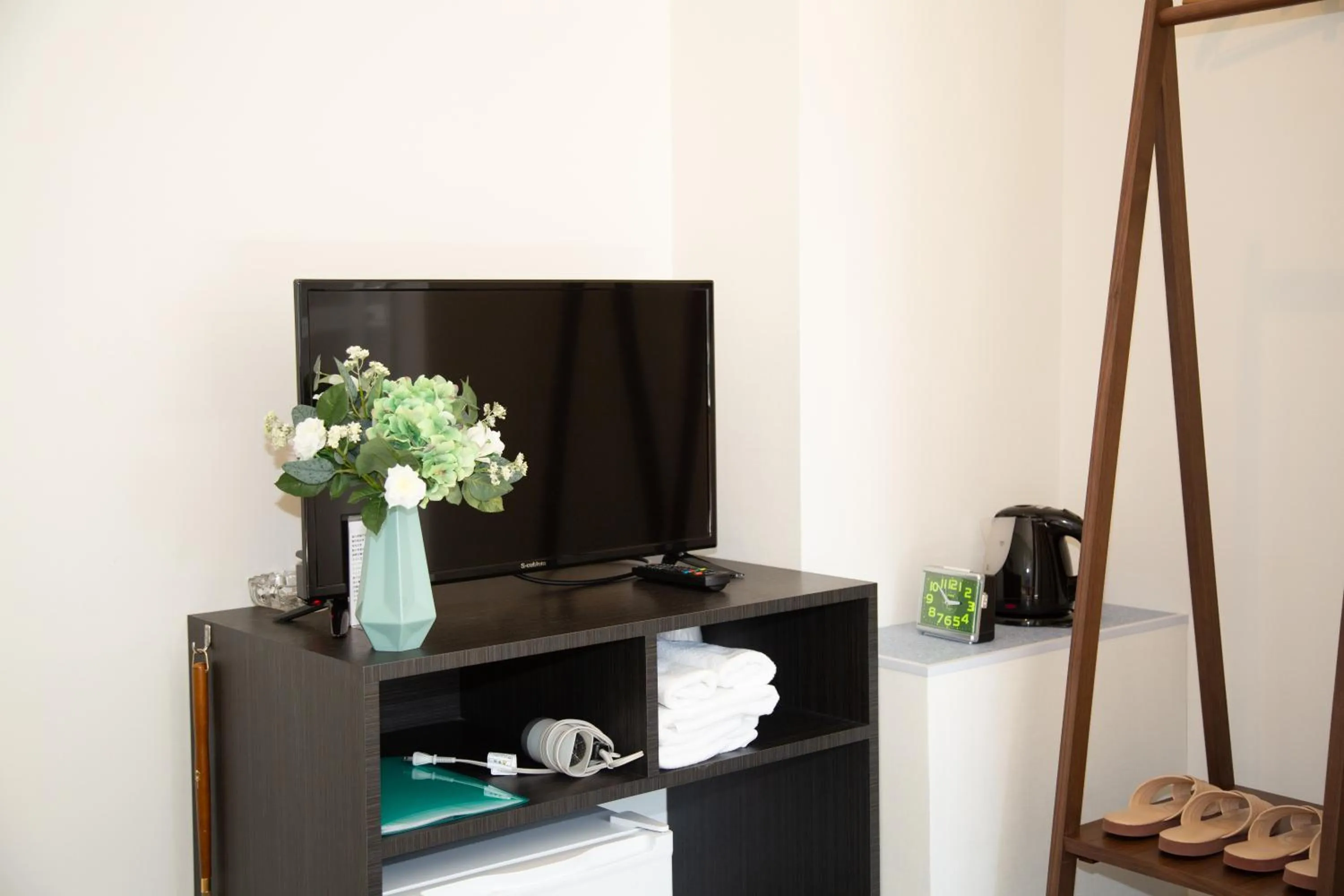 TV and multimedia in Tabata Oji Hotel