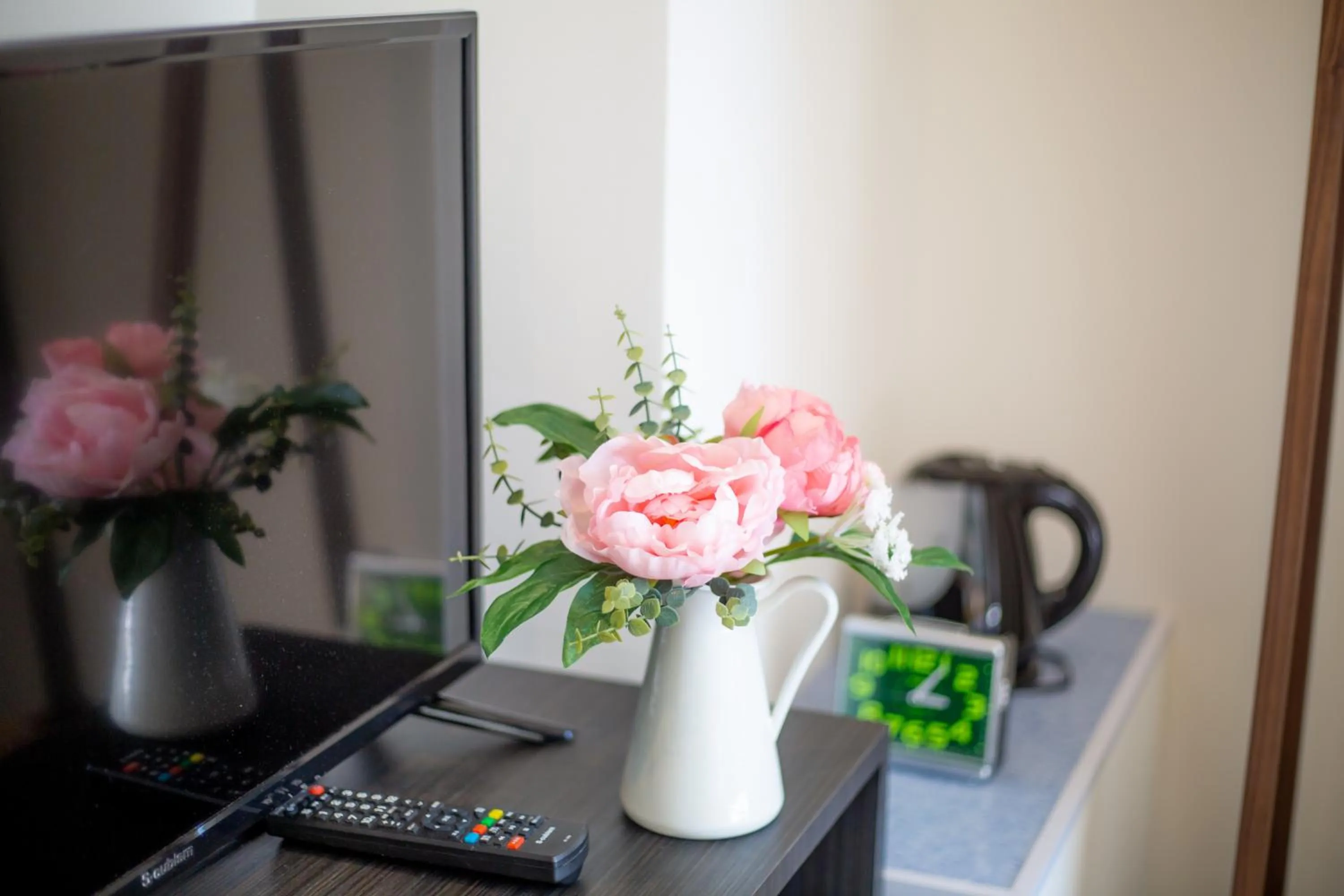 TV and multimedia in Tabata Oji Hotel