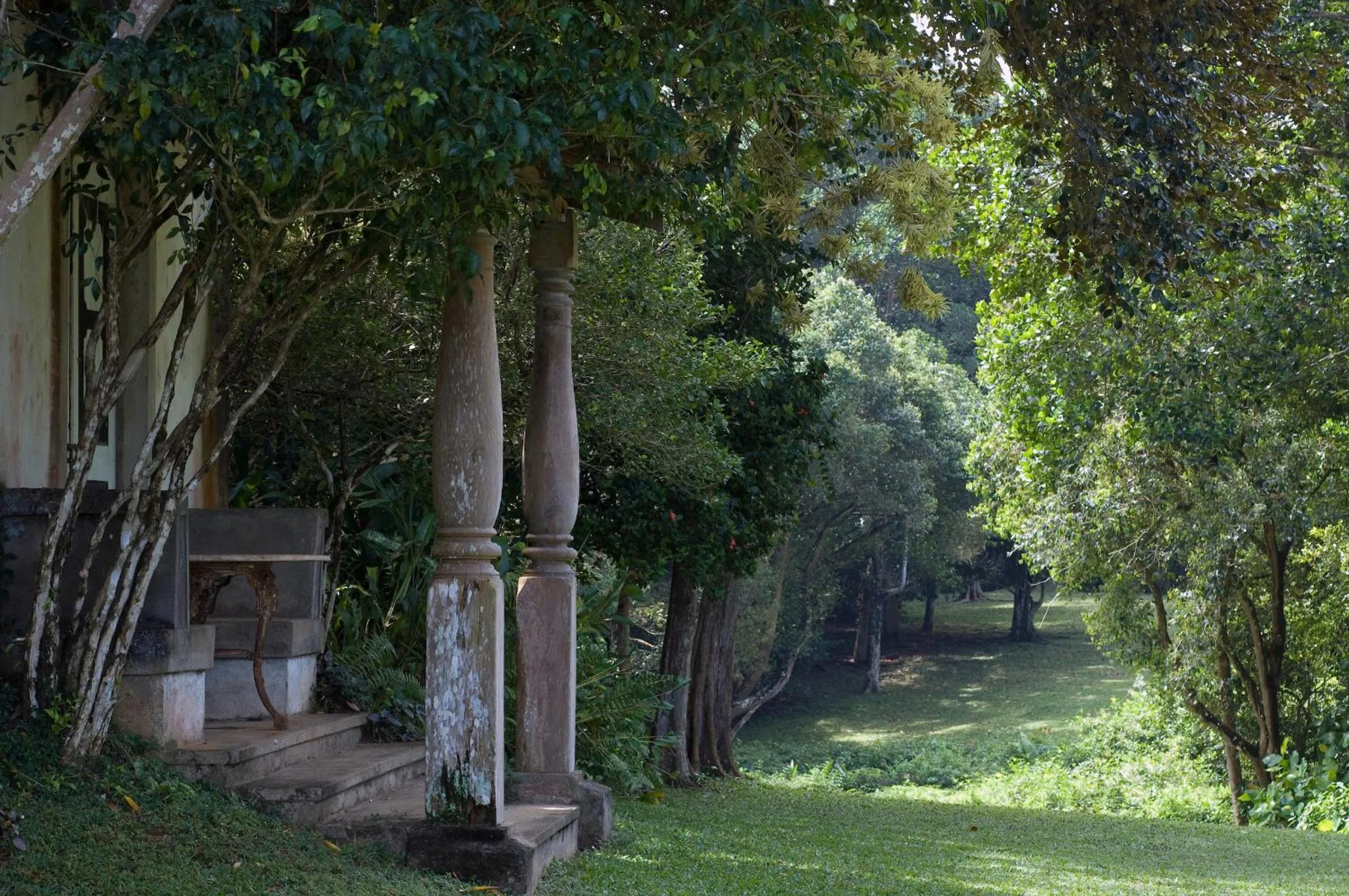 Natural landscape in Lunuganga Estate